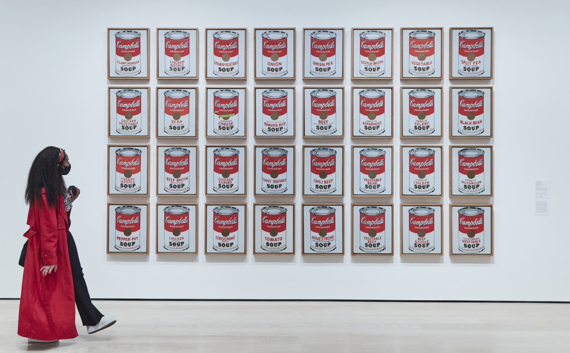 Entrada al Museo de Arte Moderno (MoMA) - imagen 7