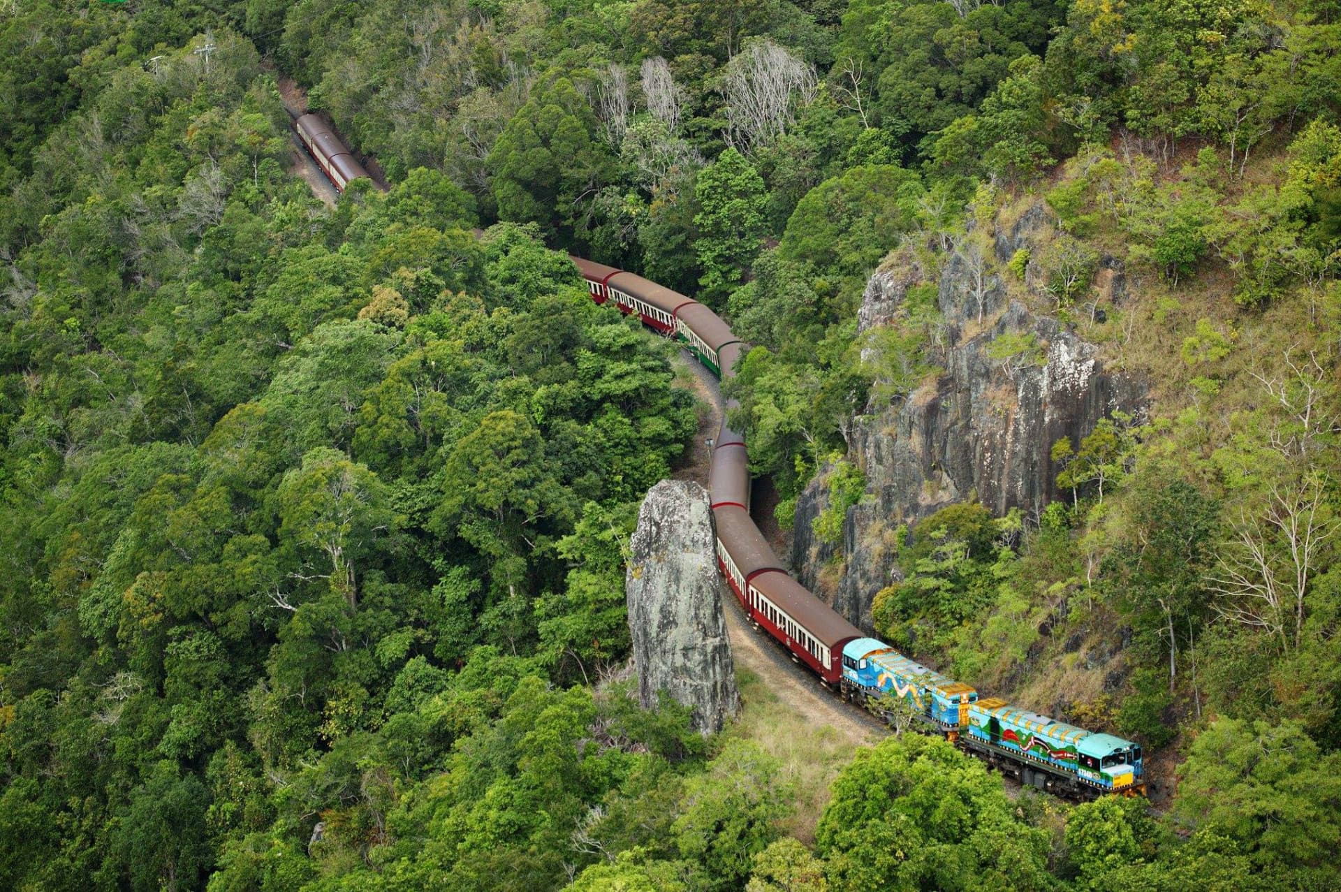 Kuranda Rainforestation Nature Park Full-Day Tour from Cairns with Kuranda Scenic Railway - image 2