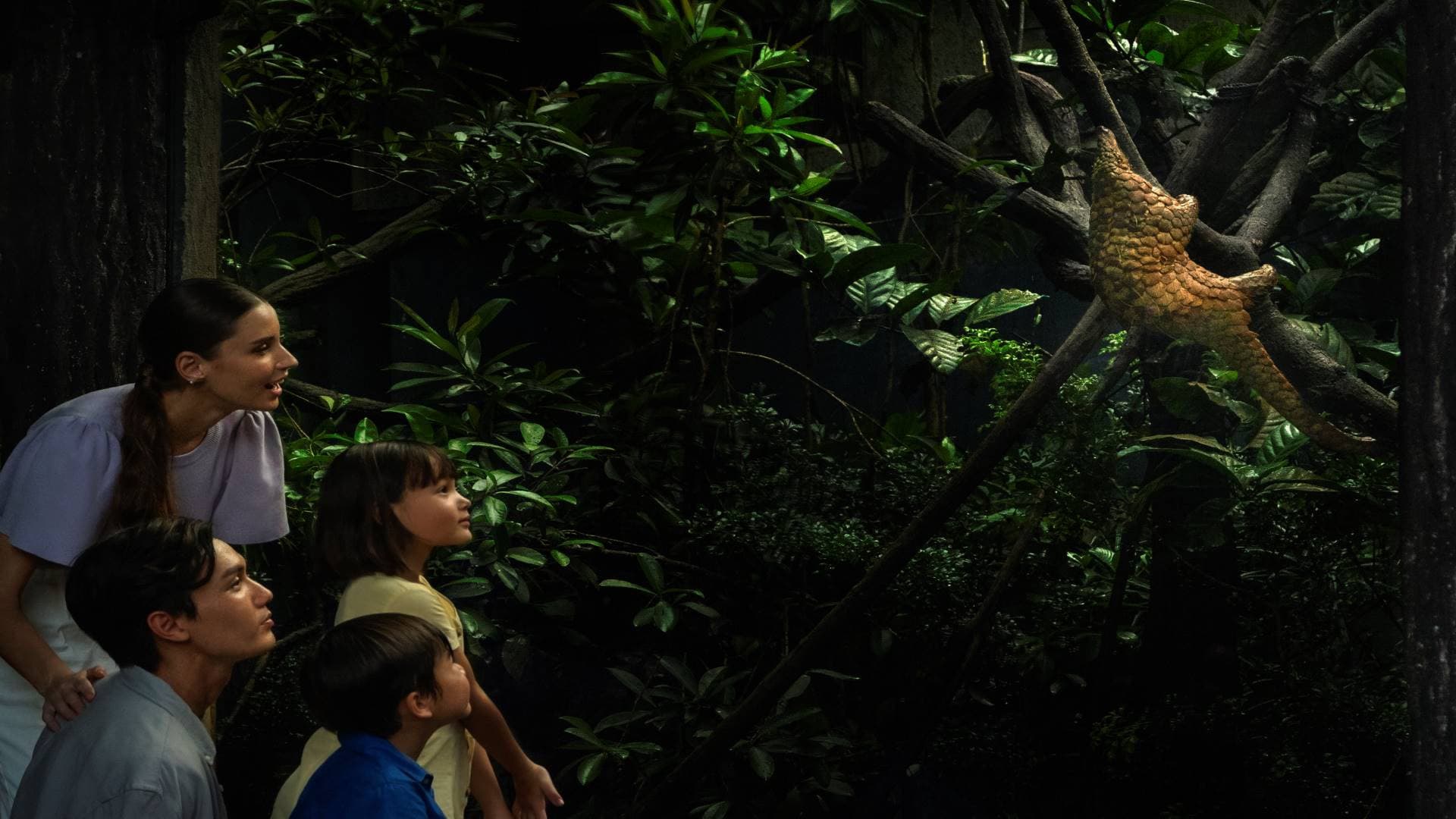 Singapore Night Safari Ticket - image 8
