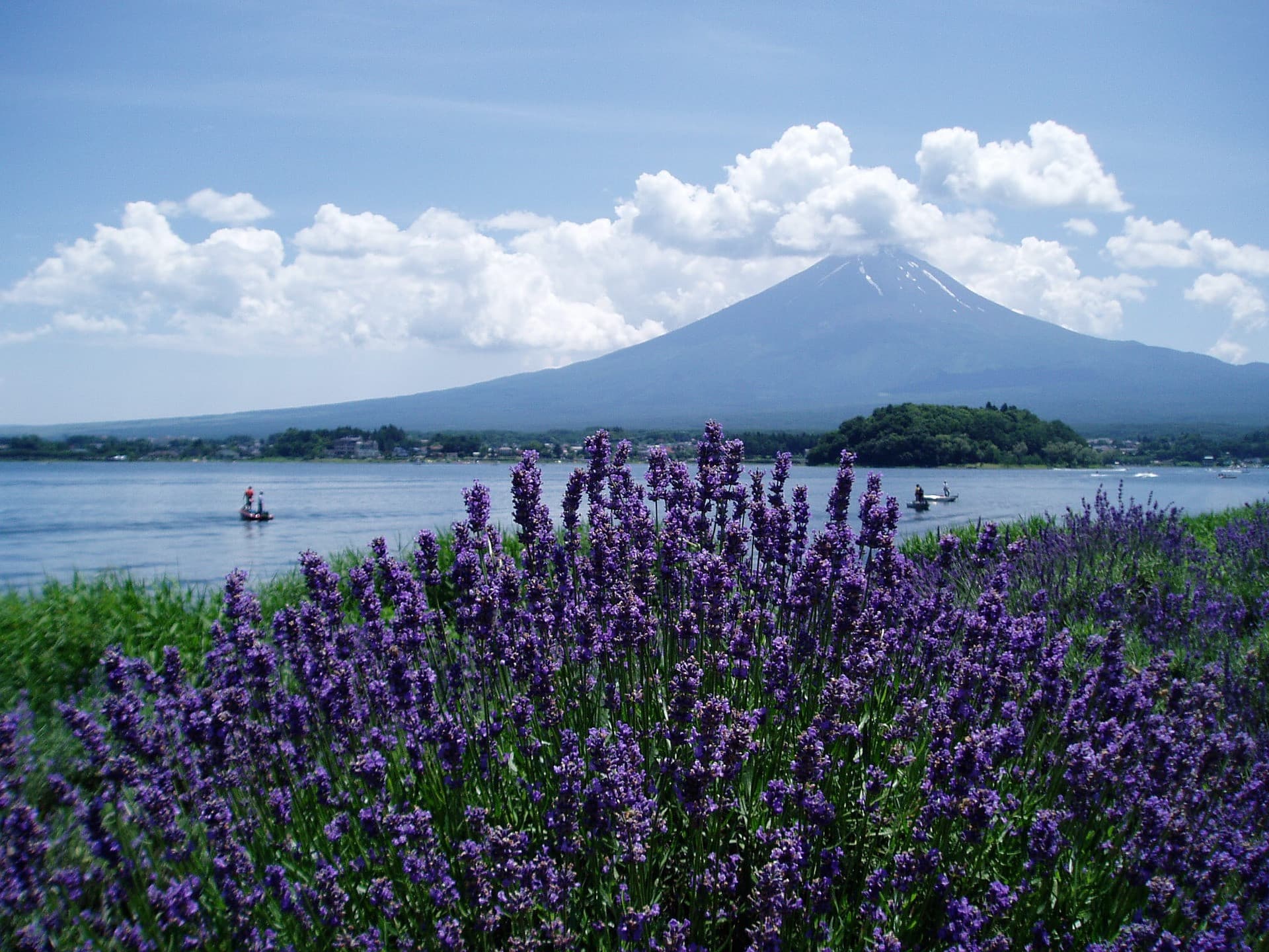 Mount Fuji and Oshino Hakkai Ole Hot Spring Full-Day Tour from Tokyo - main image