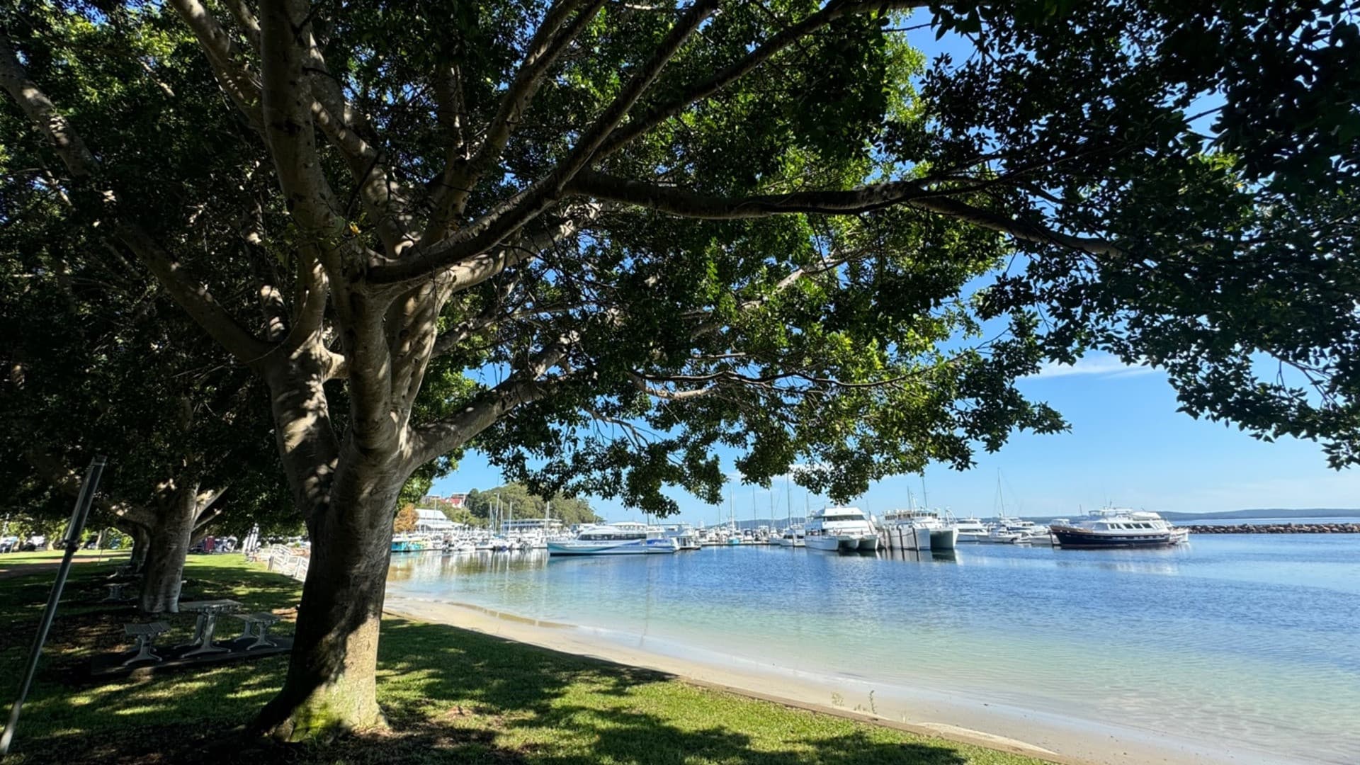Port Stephens Tour with 4WD Ride and Sandboarding from Sydney - image 4