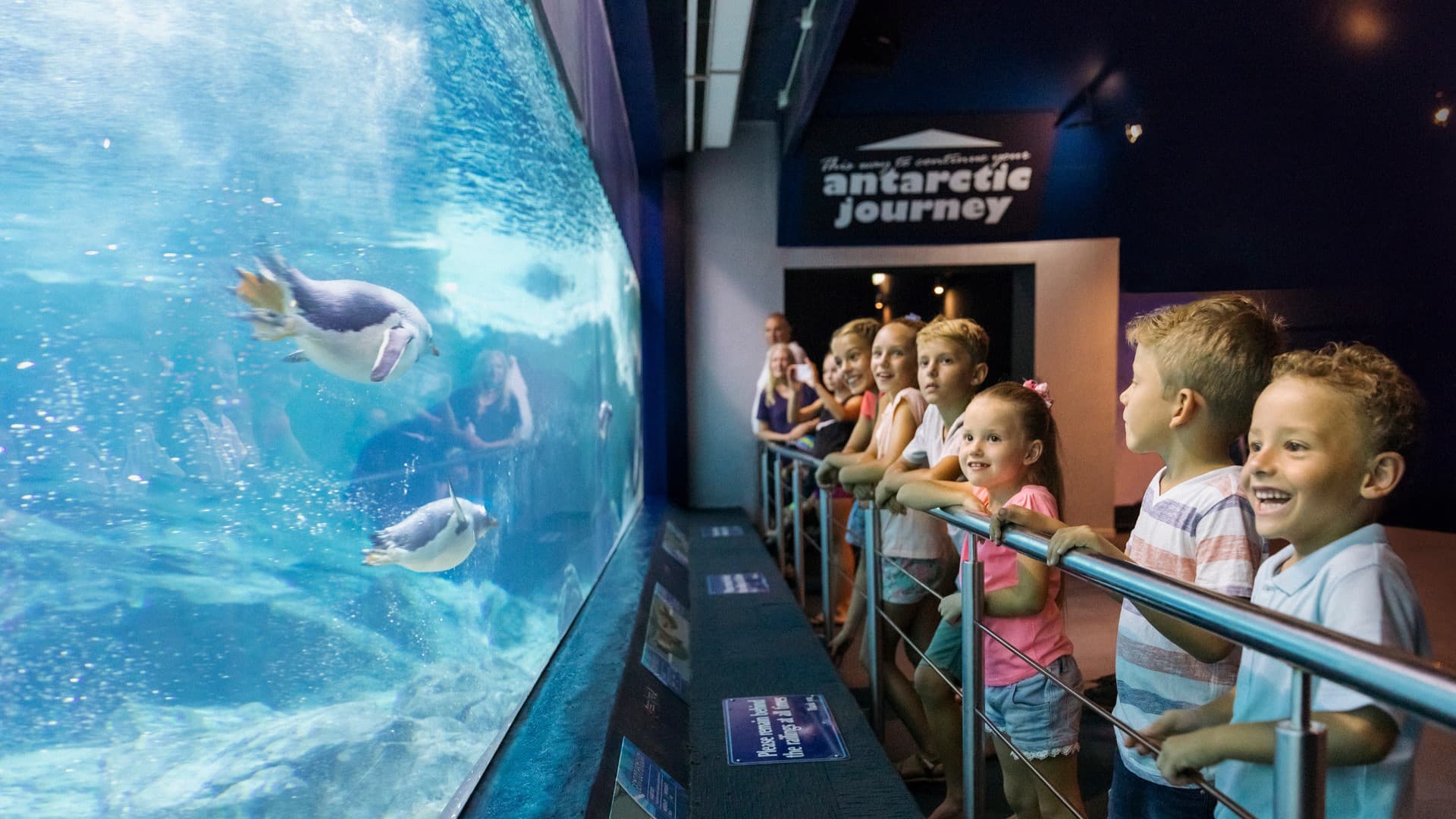 Entrada a Sea World Gold Coast - imagen 10