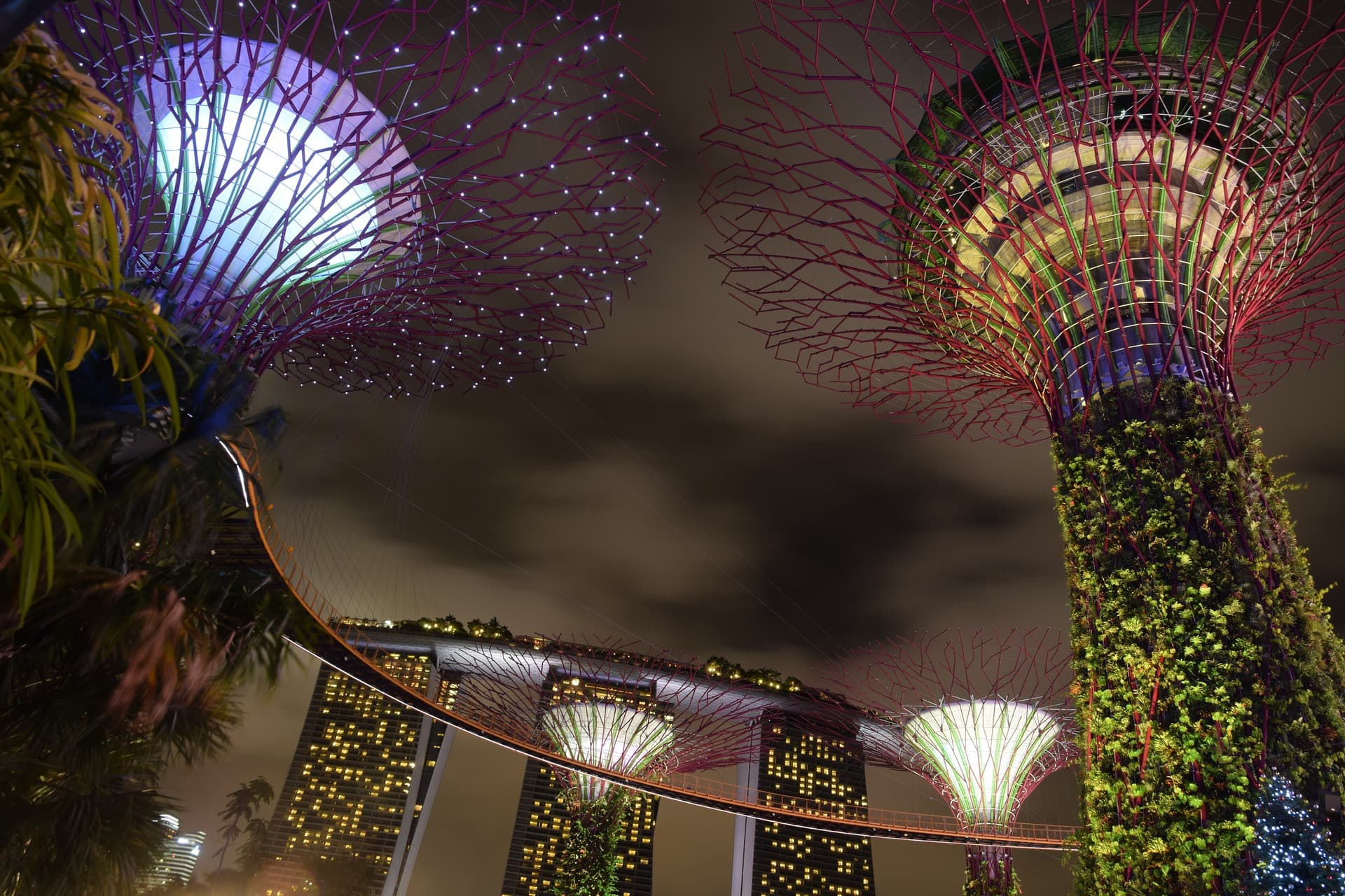 COMBO: Gardens by the Bay + ArtScience Museum Tickets - image 11