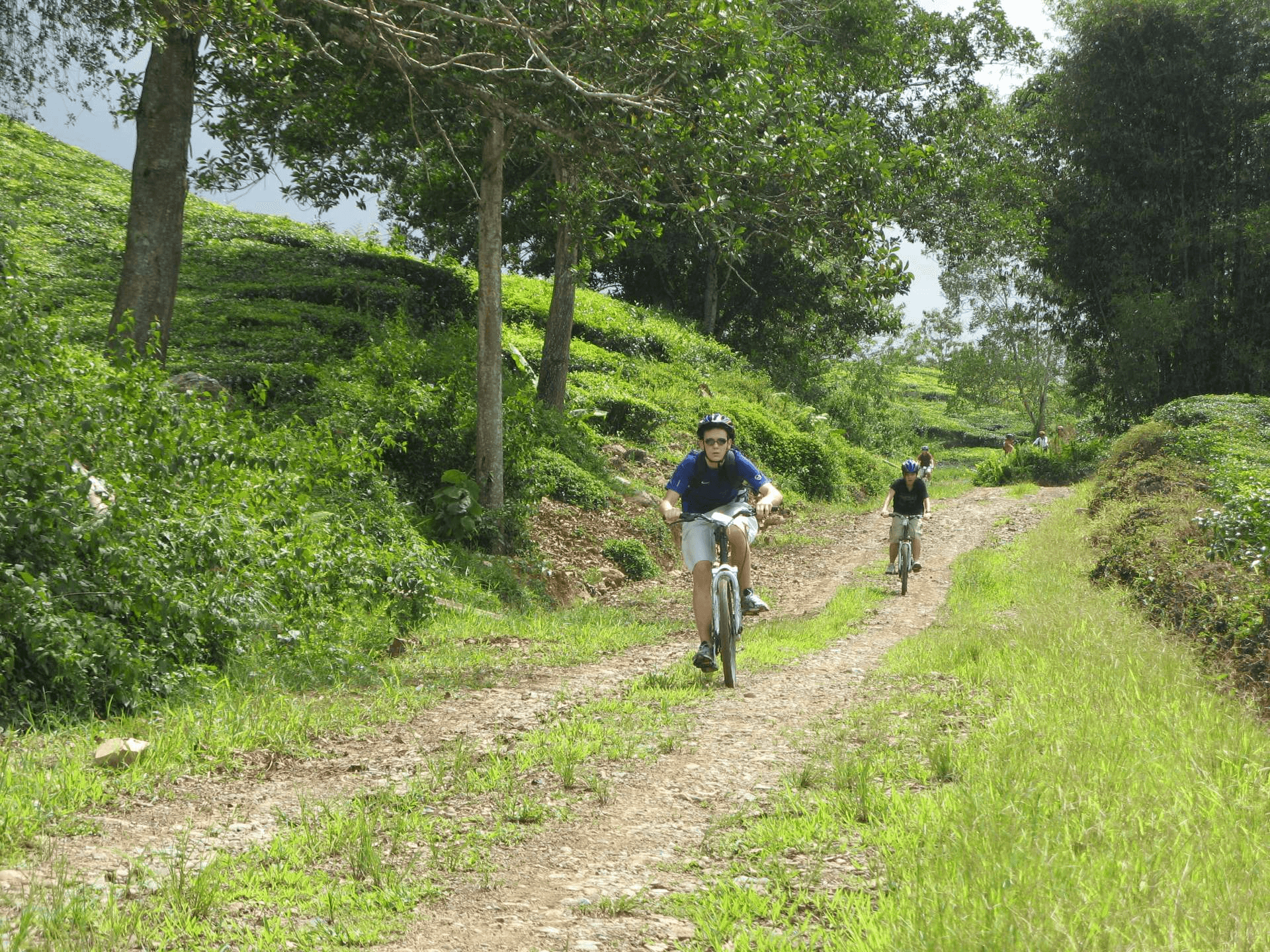 Pulau Ubin Cycling Tour - image 2