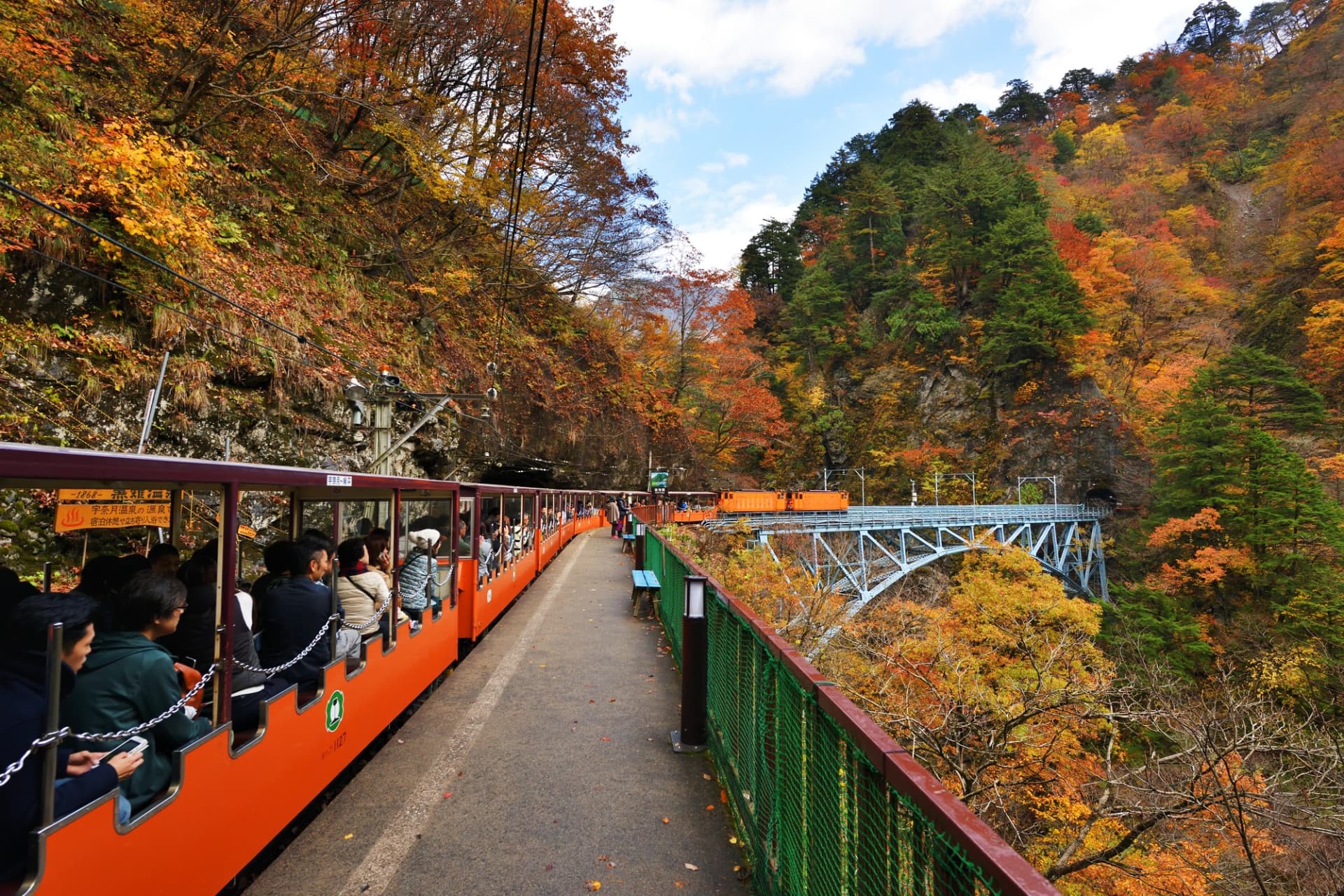 Kurobe Gorge Railway Ticket - image 5