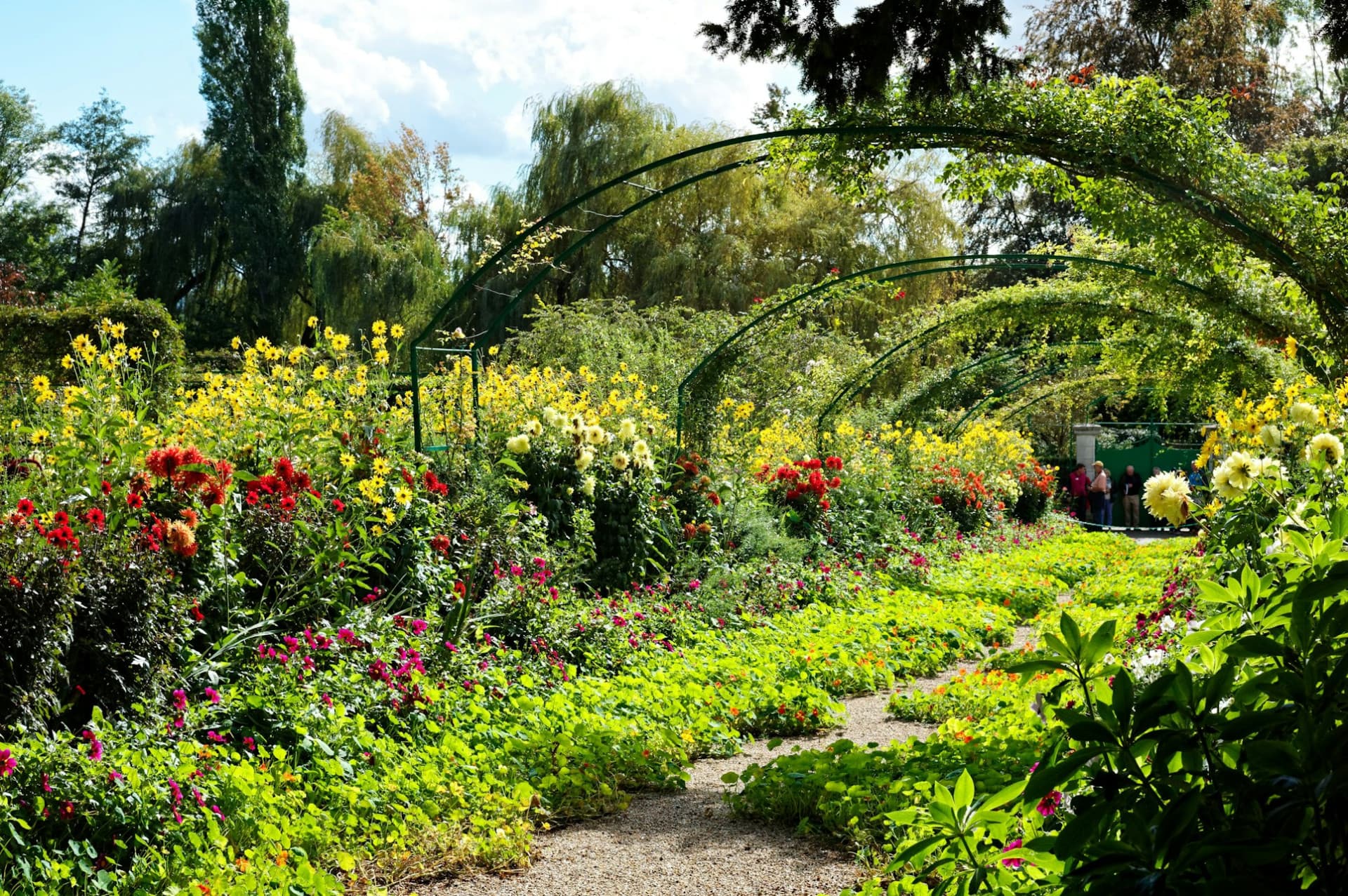 Giverny: Impressionist Day Trip from Paris with Audio Guide - image 13