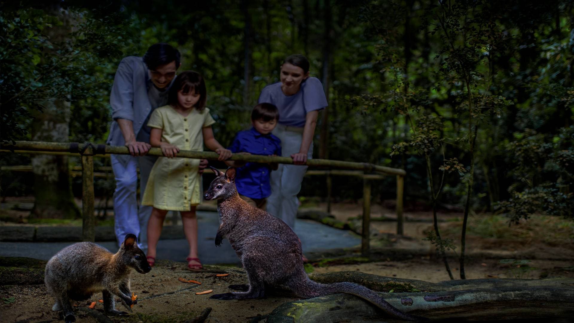 Singapore Night Safari Ticket - image 4
