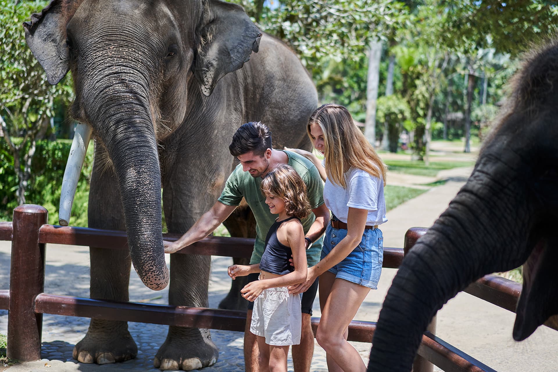 Mason Elephant Park Bali de Mason Adventures (anteriormente conocido como Elephant Safari Park) - imagen 4