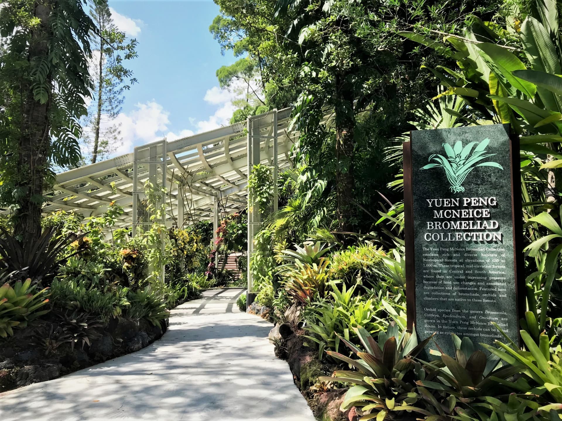 National Orchid Garden Ticket - image 6