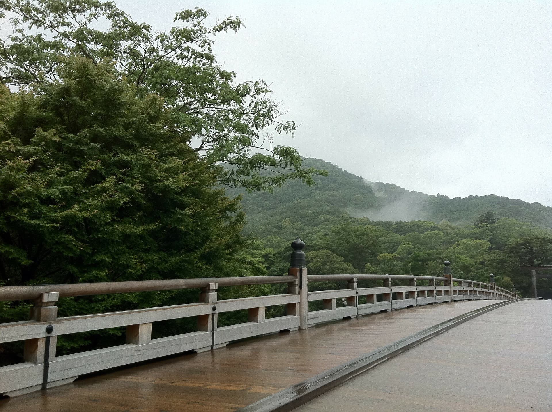 Uji Walking Tour and Tea Ceremony Experience from Kyoto - image 4