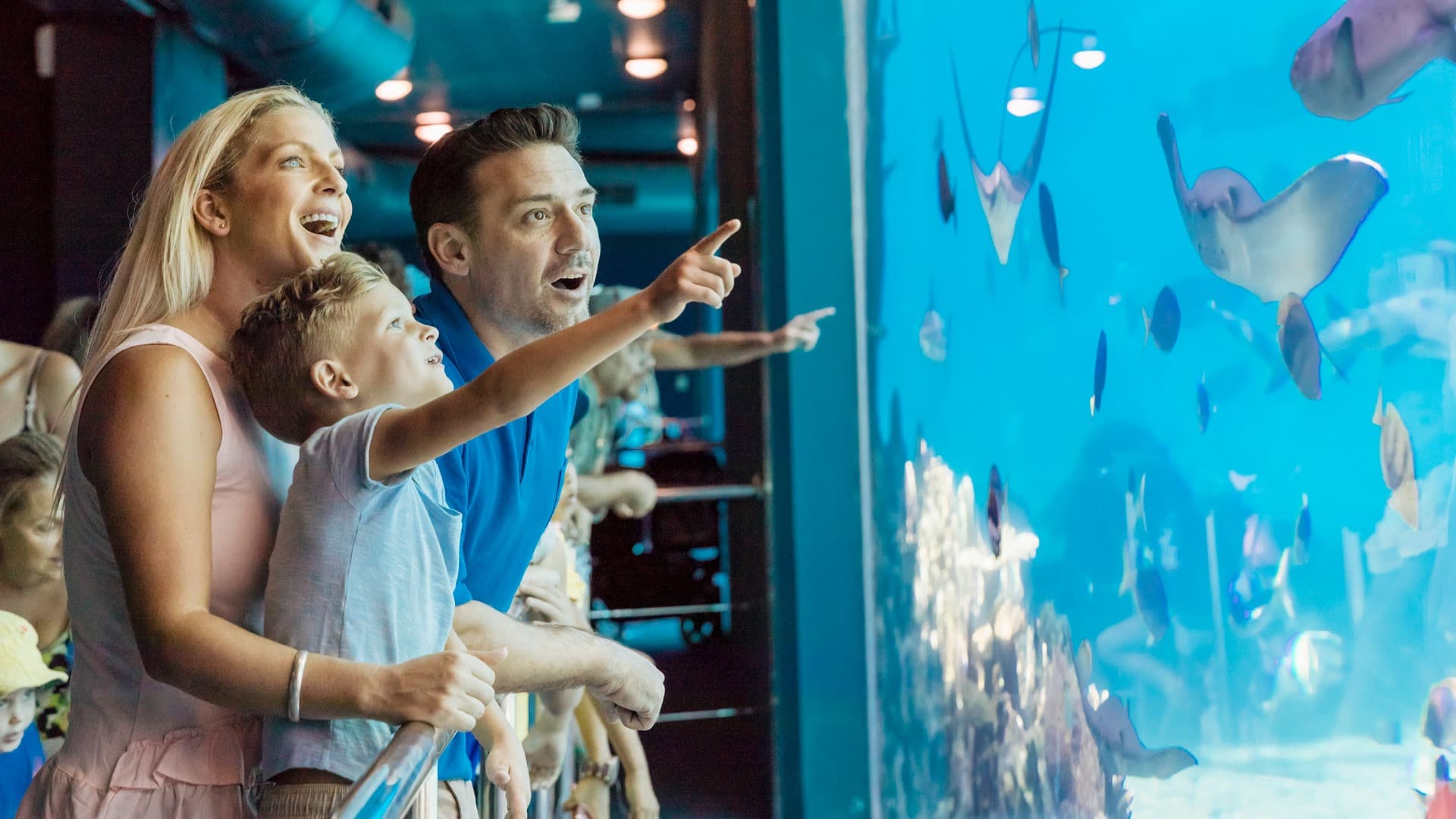 Entrada a Sea World Gold Coast - imagen 3