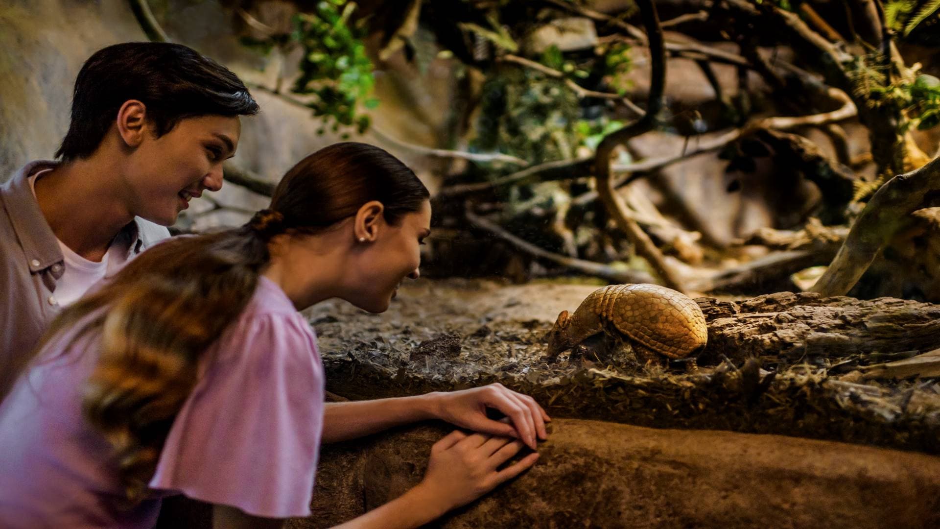 Singapore Night Safari Ticket - image 9