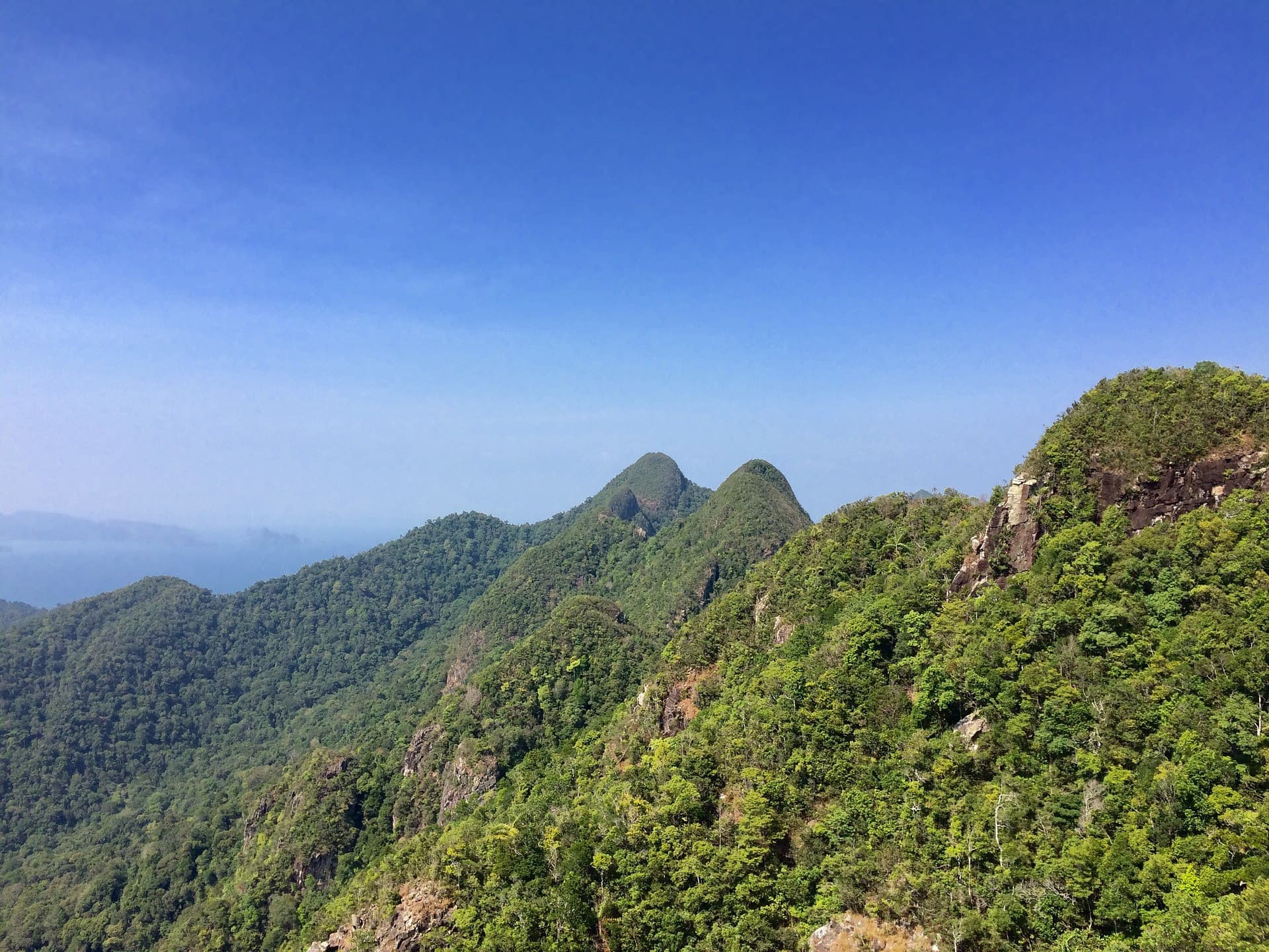 Tour de avistamiento de aves en Langkawi - Medio día - imagen 11