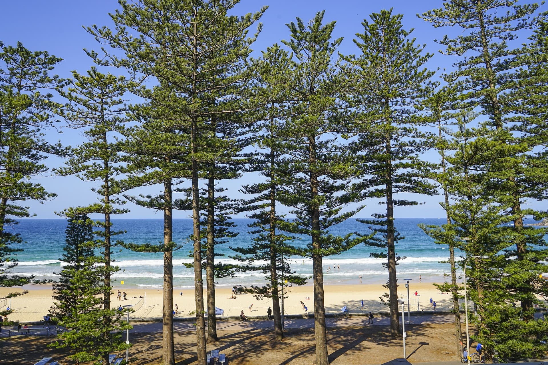Manly Beach Cycling Tour with Sunset Cruise - image 5