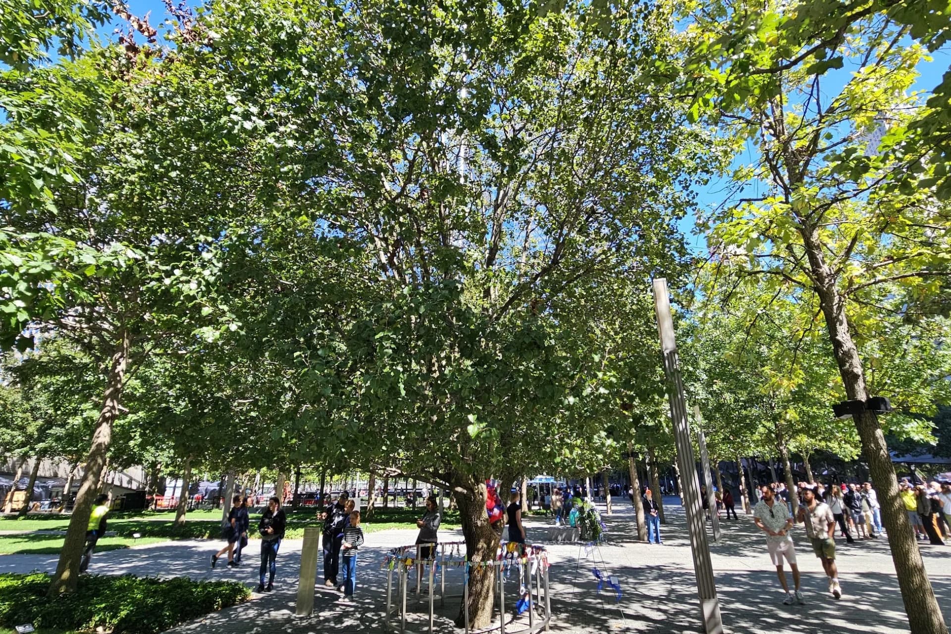 9/11 Memorial & Wall Street Walking Tour + Optional 9/11 Museum Admission - image 13