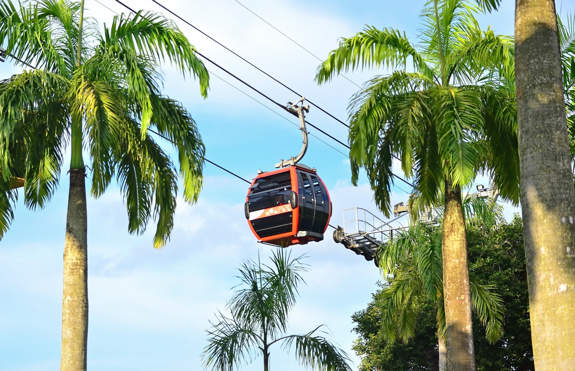 COMBO: Wings of Time Fireworks Symphony + Singapore Cable Car + Dining at Sentosa - image 5