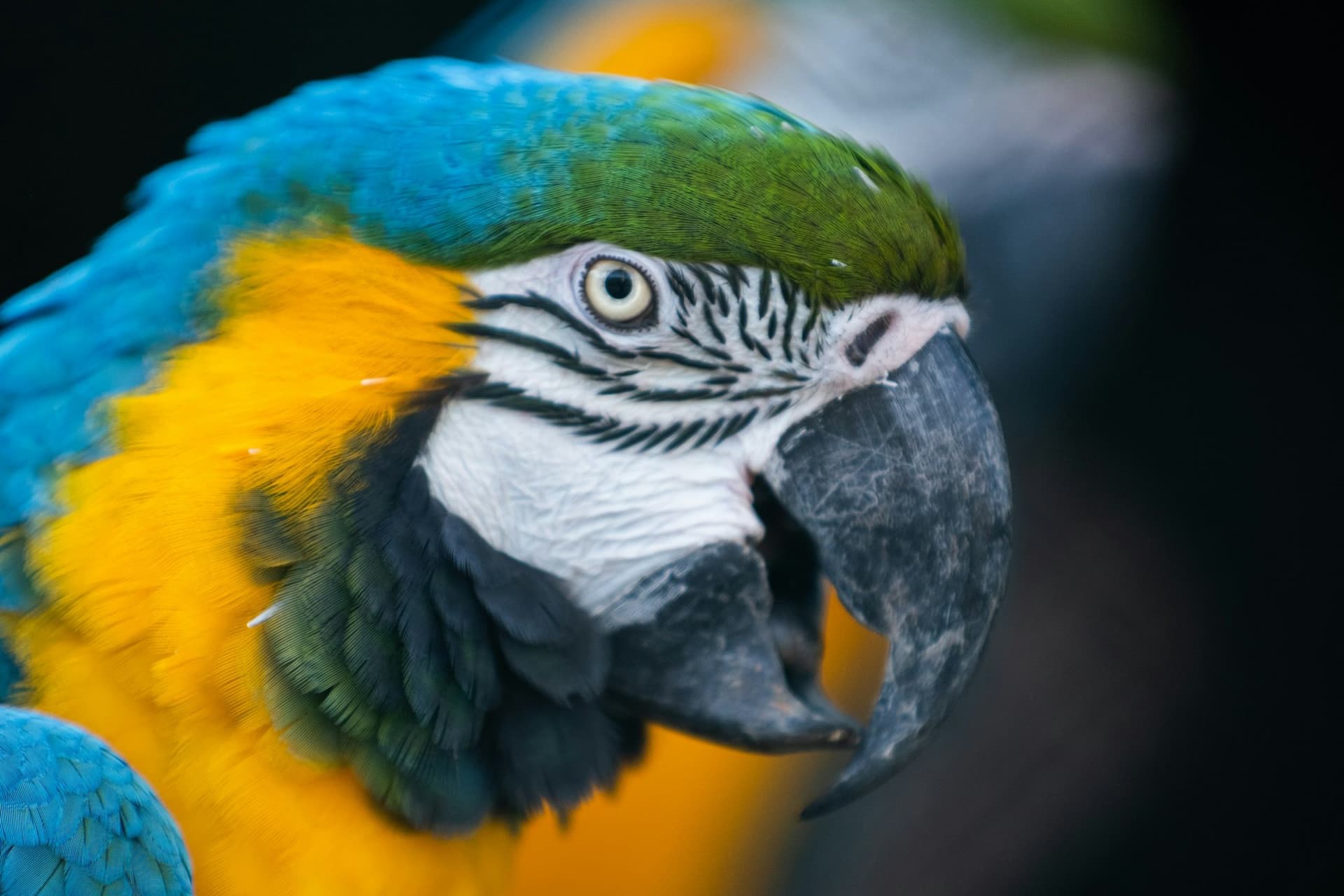Zoo Santo Inácio Ticket - image 9
