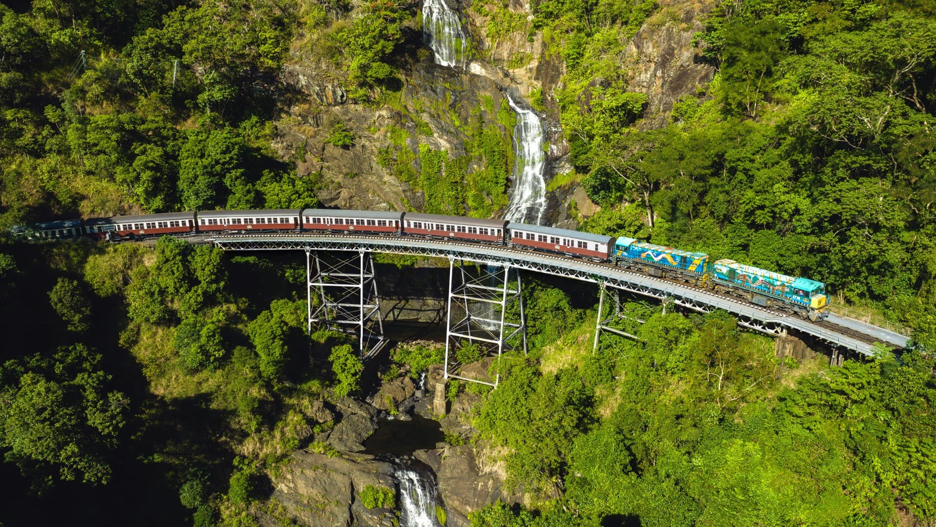 Skyrail Rainforest Cableway with Optional Kuranda Scenic Train Ticket and Hotel Pick-Up - image 4