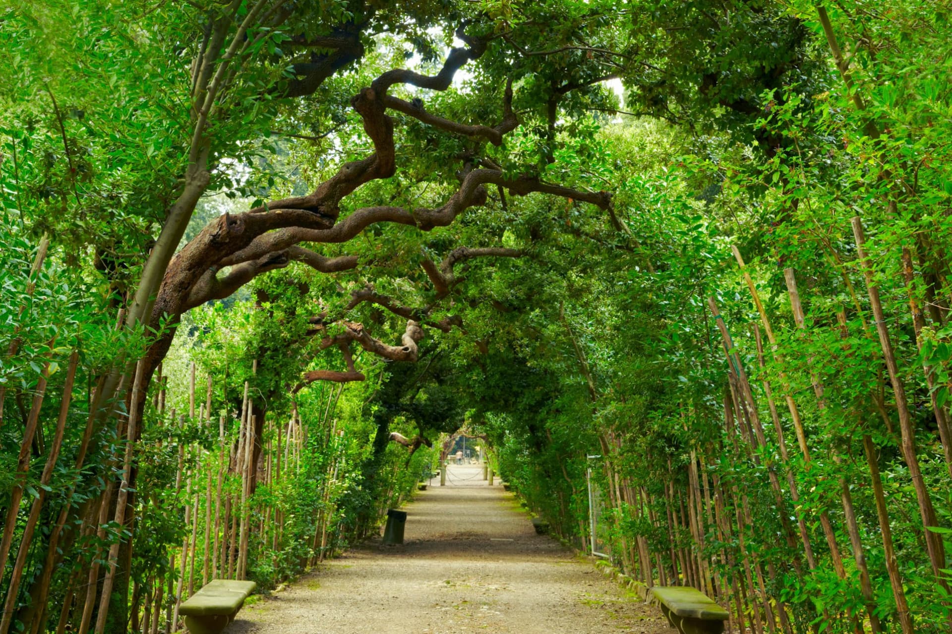 Palazzo Pitti & Boboli Gardens: Reserved Entrance + Florence City Audio Guide - image 2