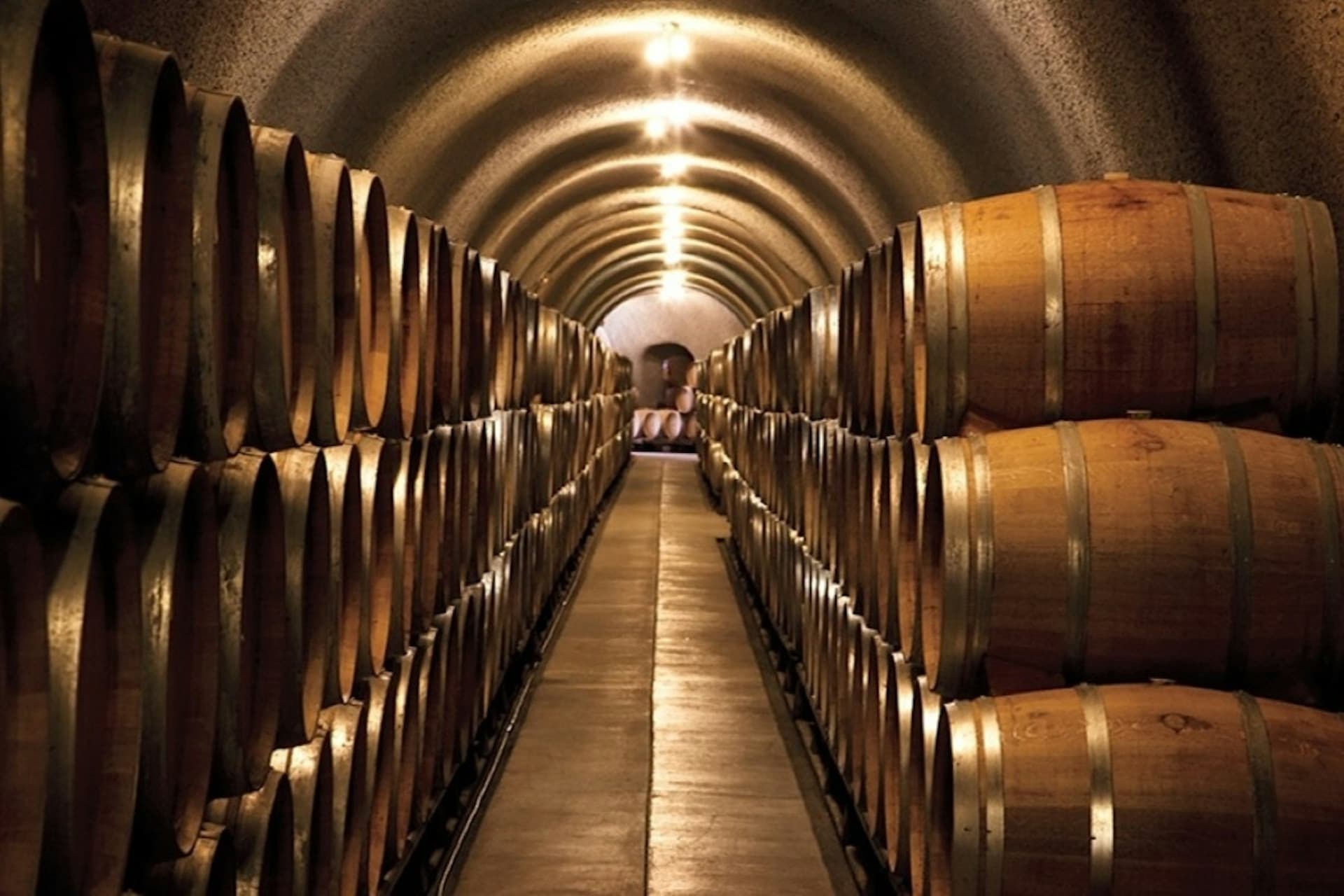 From San Francisco: Full Day Napa Valley Wine Tasting Tour - main image