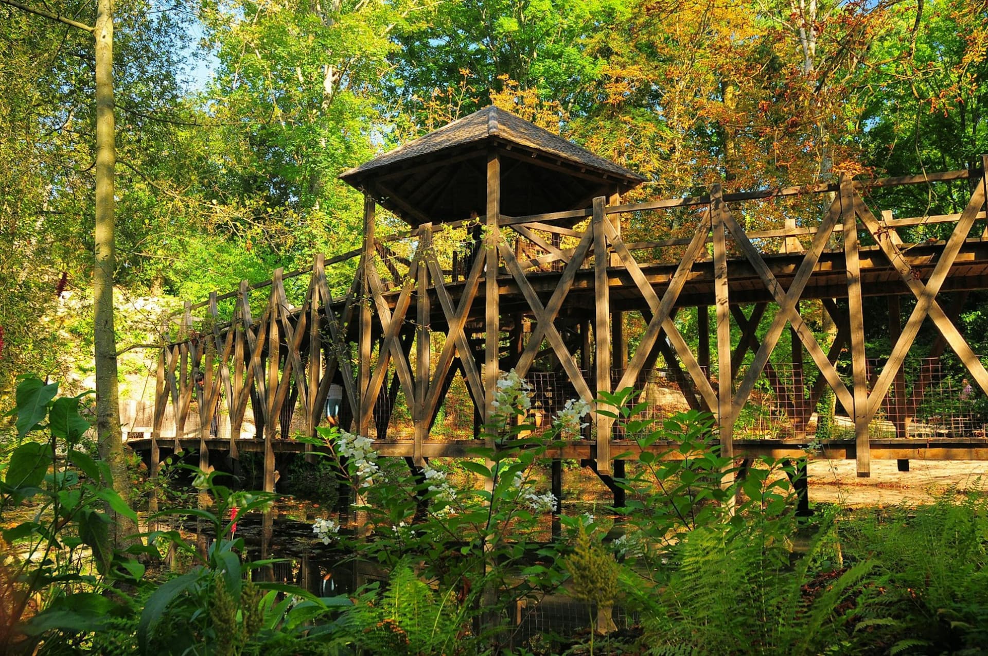Château du Clos Lucé: Skip The Line Ticket - image 6