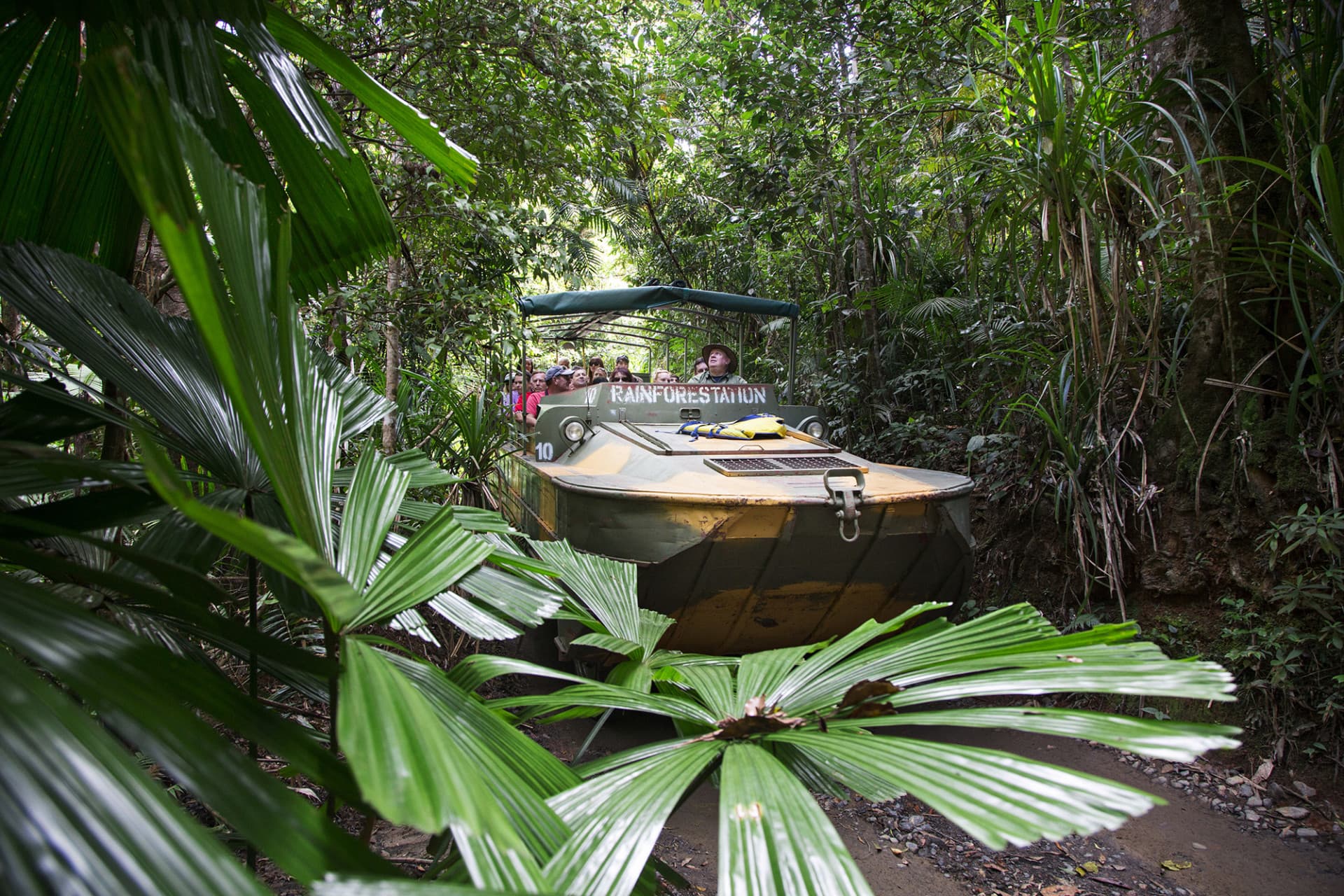 Full-Day Kuranda Tour with Skyrail Cableway, Scenic Railway and Rainforestation - image 7