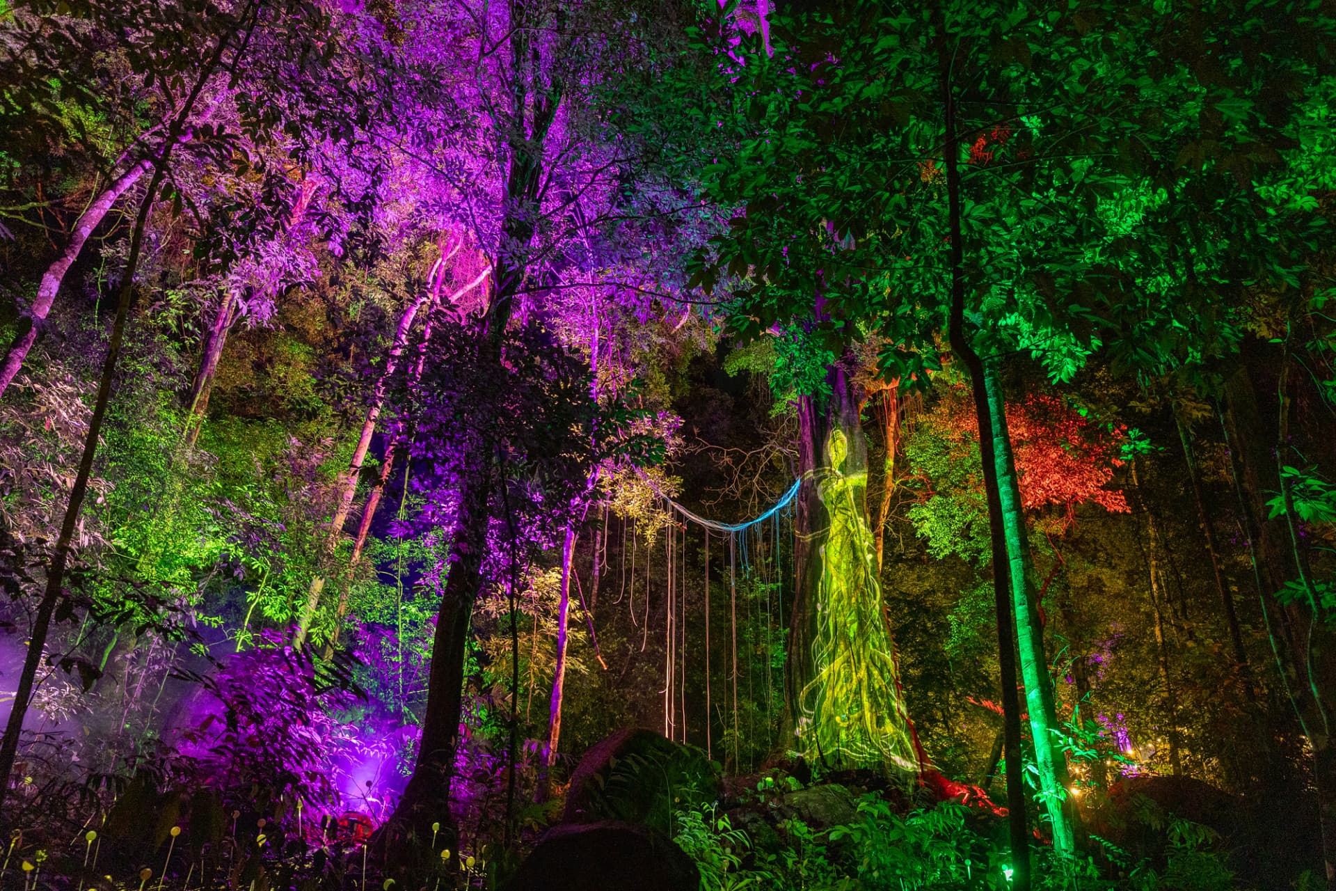 Dream Forest Langkawi - image 3