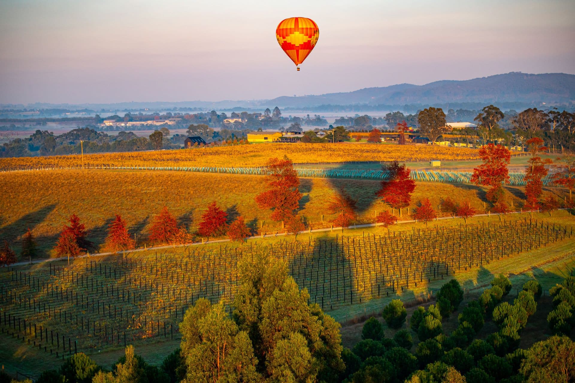 Sunrise Hot Air Balloon Flight over Yarra Valley with Photos - image 2