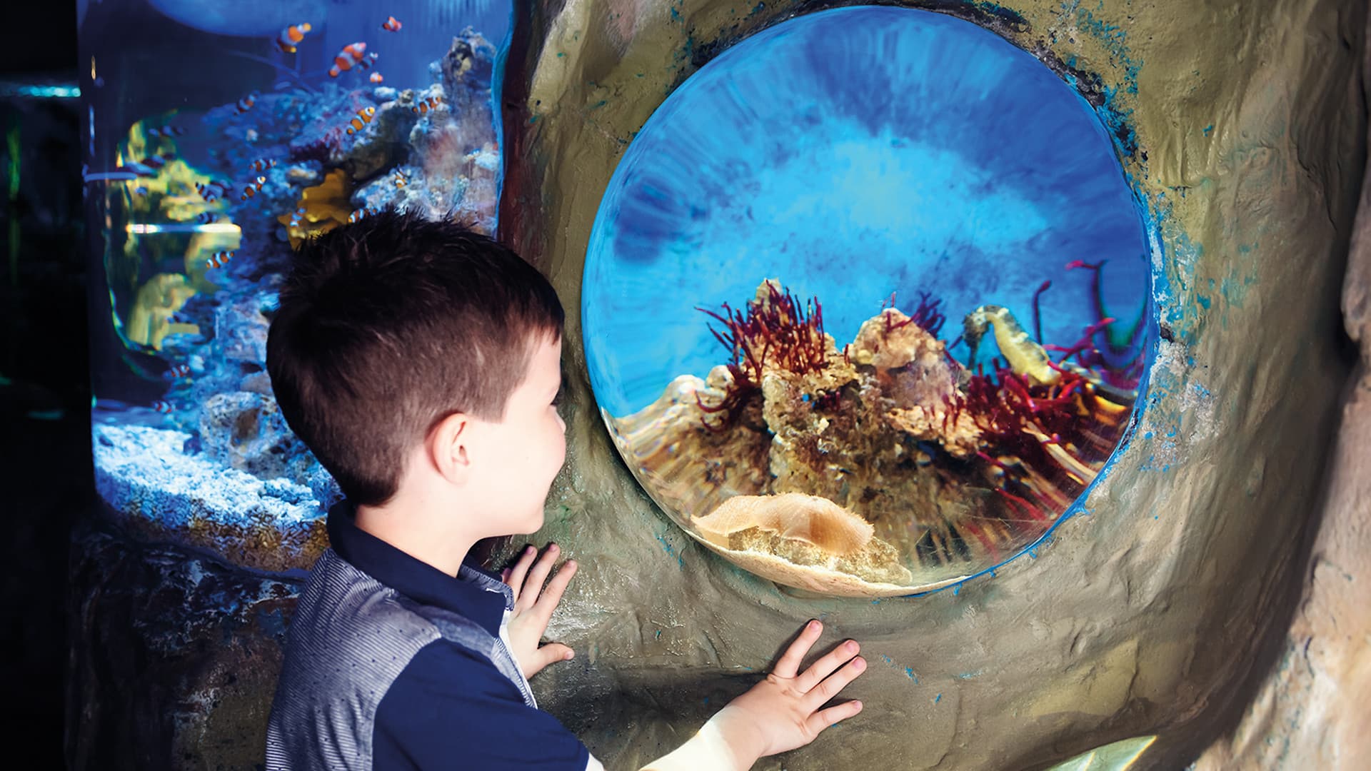 SEA LIFE London Aquarium Ticket - image 4