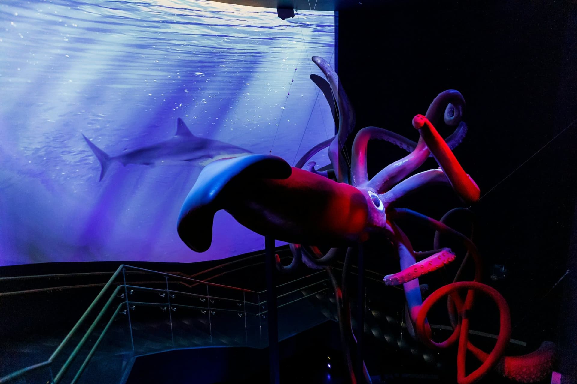 Atlantis Aquarium Madrid Ticket - image 9