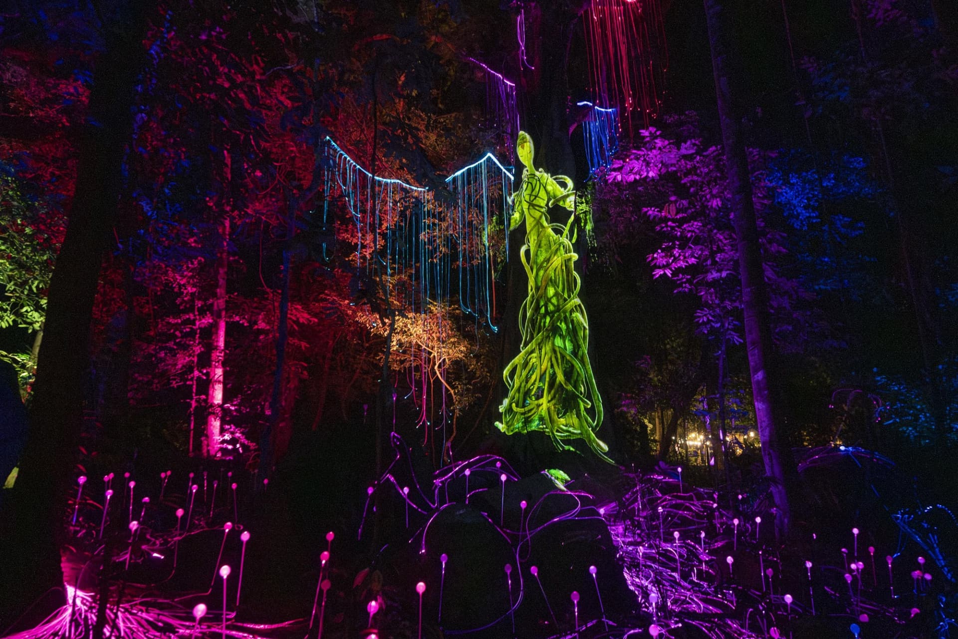 Dream Forest Langkawi - main image