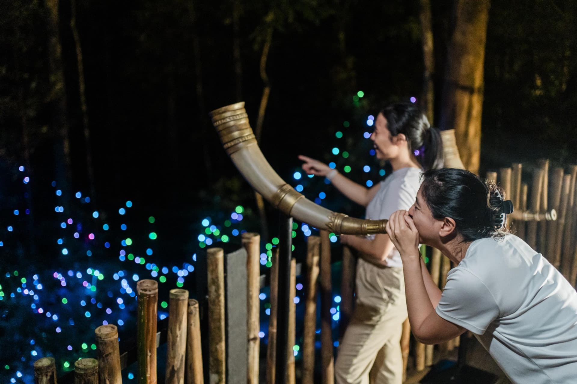 Dream Forest Langkawi - image 6