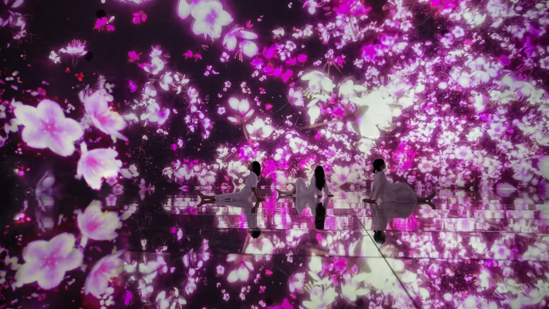 Entrada para teamLab Planets TOKYO - imagen principal