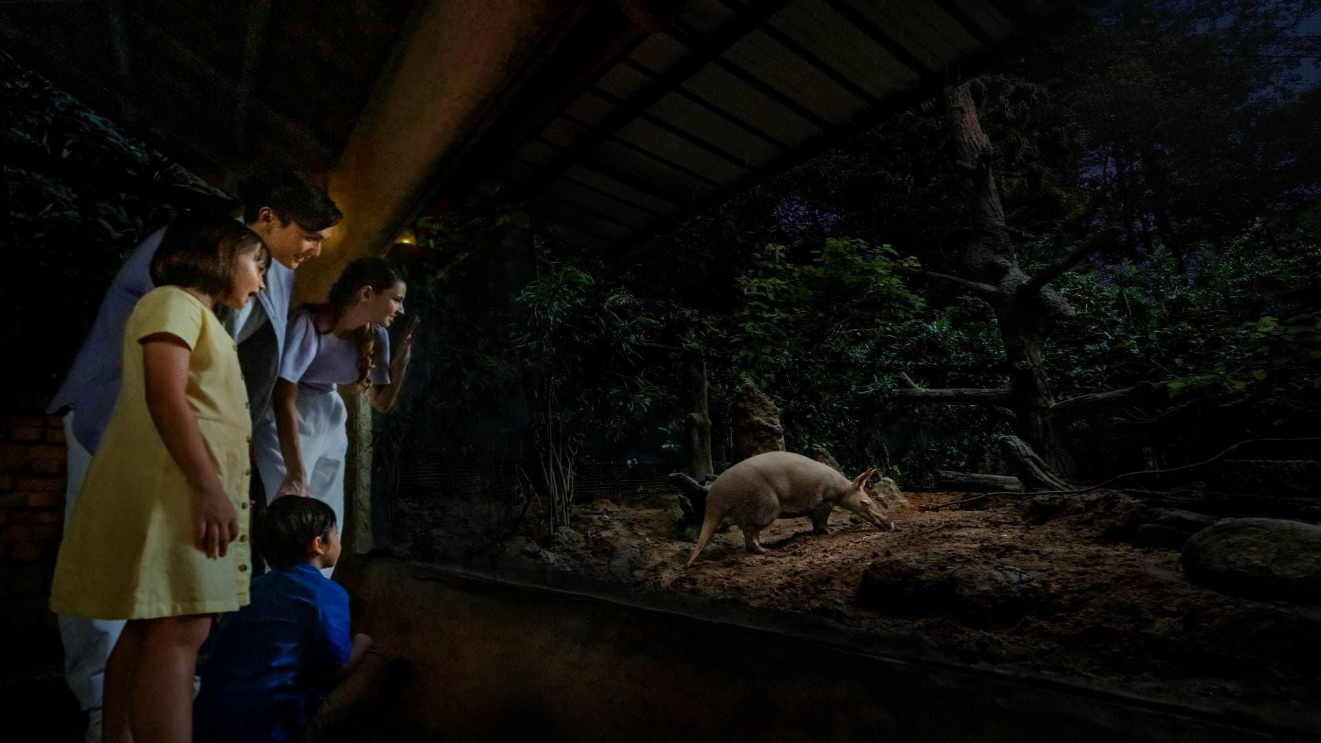 Singapore Night Safari Ticket - image 5