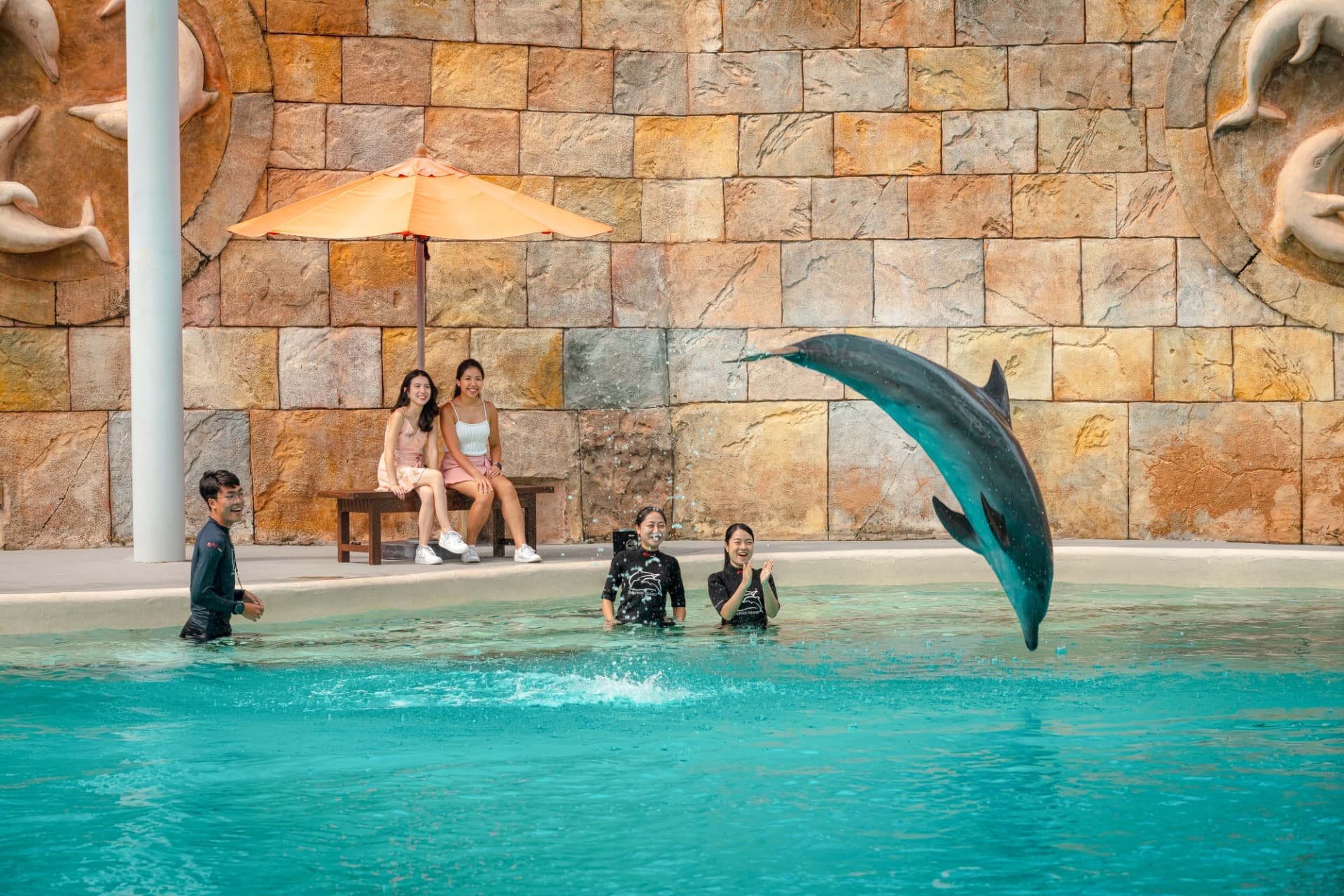 Dolphin Experiences at Marine Mammal Habitat Sentosa - image 6