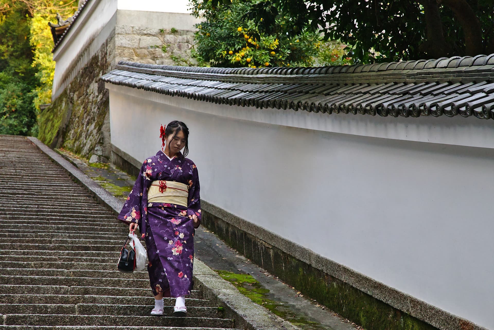 Kyoto-Osaka Sightseeing Pass - image 9