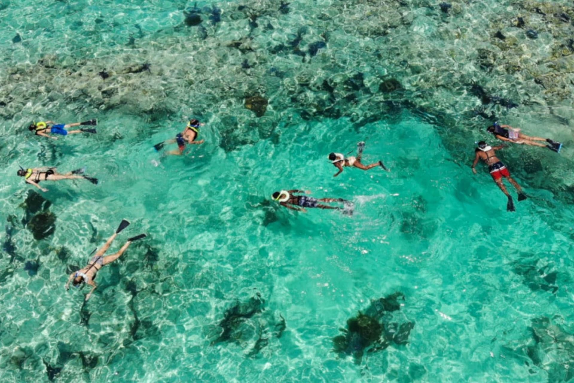 Key West: 3hr Snorkeling Experience with Unlimited Drinks - image 8