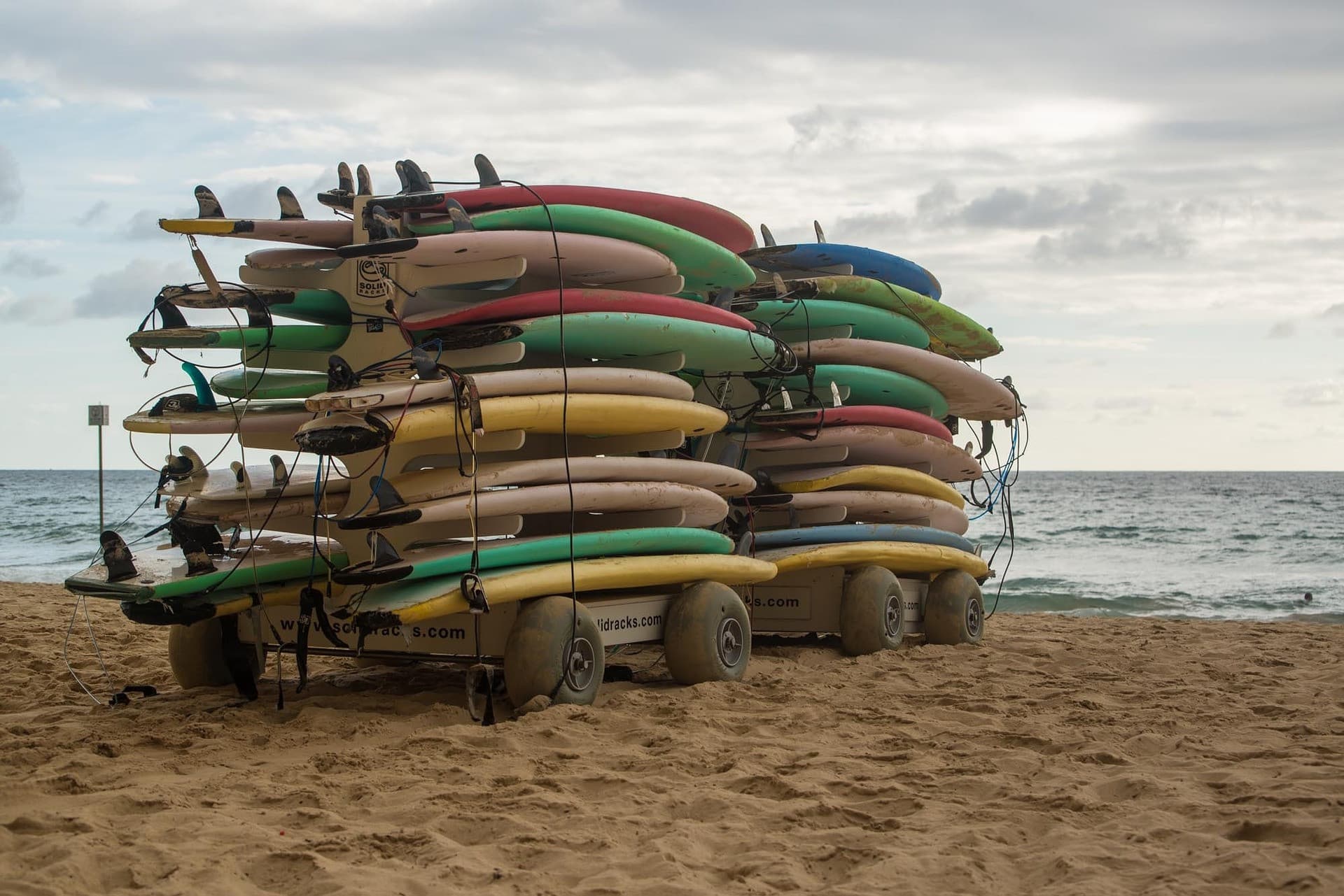 Manly Beach Cycling Tour with Sunset Cruise - image 8