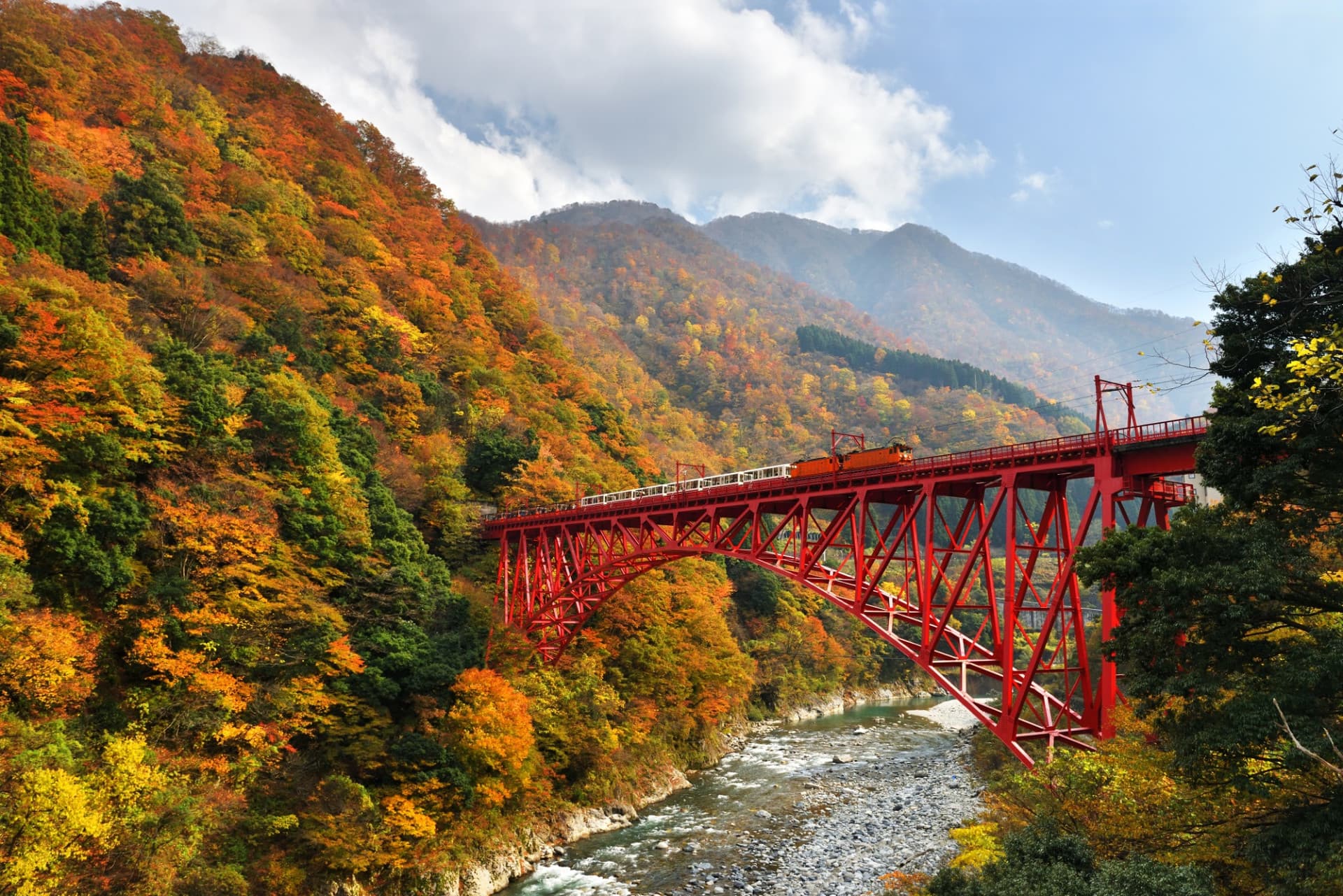 Kurobe Gorge Railway Ticket - image 2