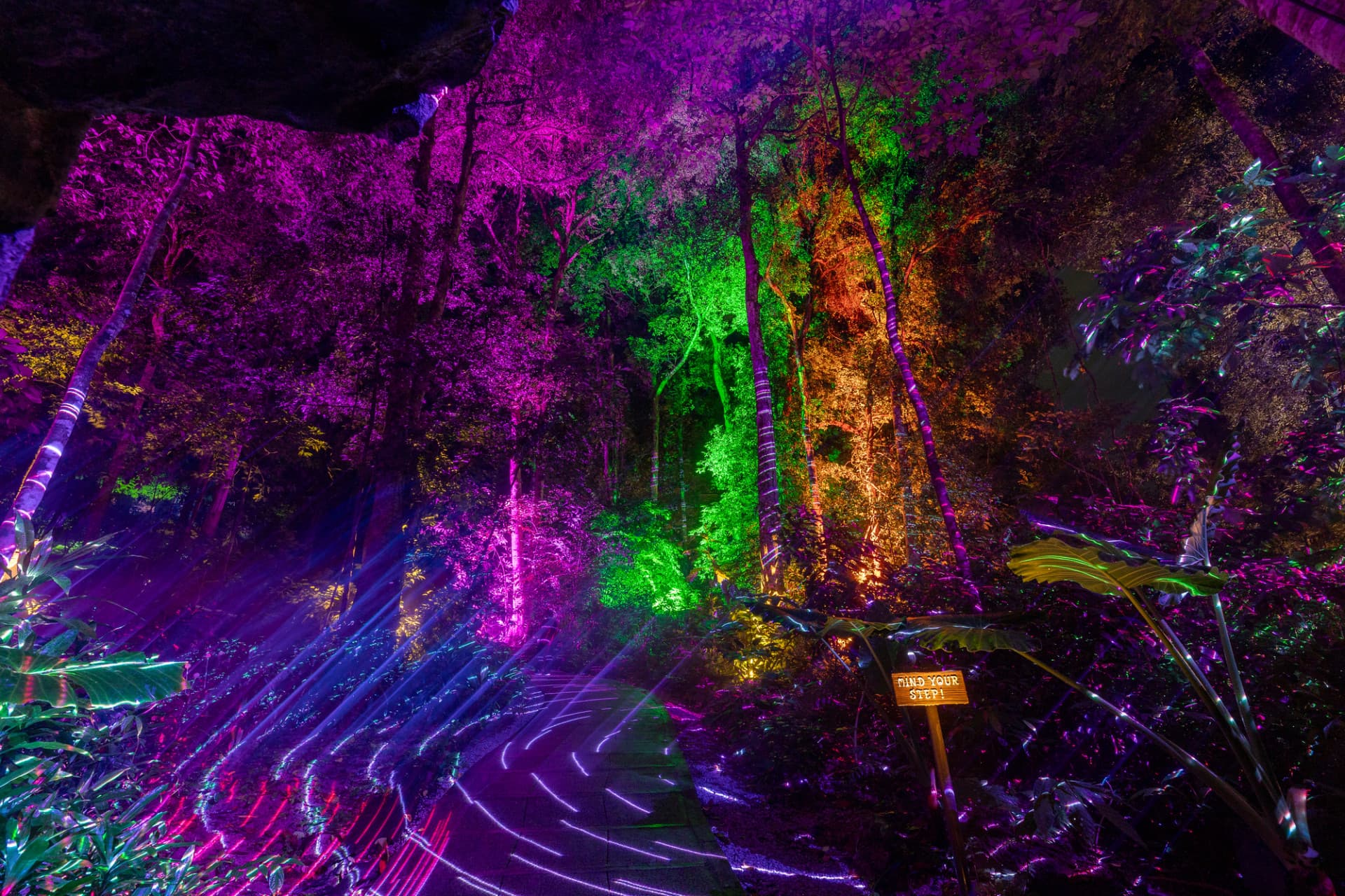 Dream Forest Langkawi - image 2
