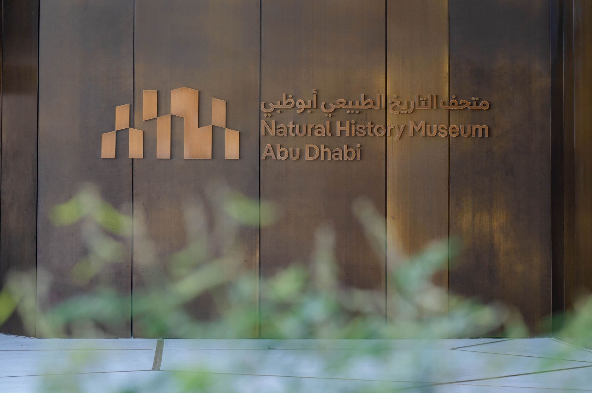 Natural History Museum Abu Dhabi Ticket - image 6