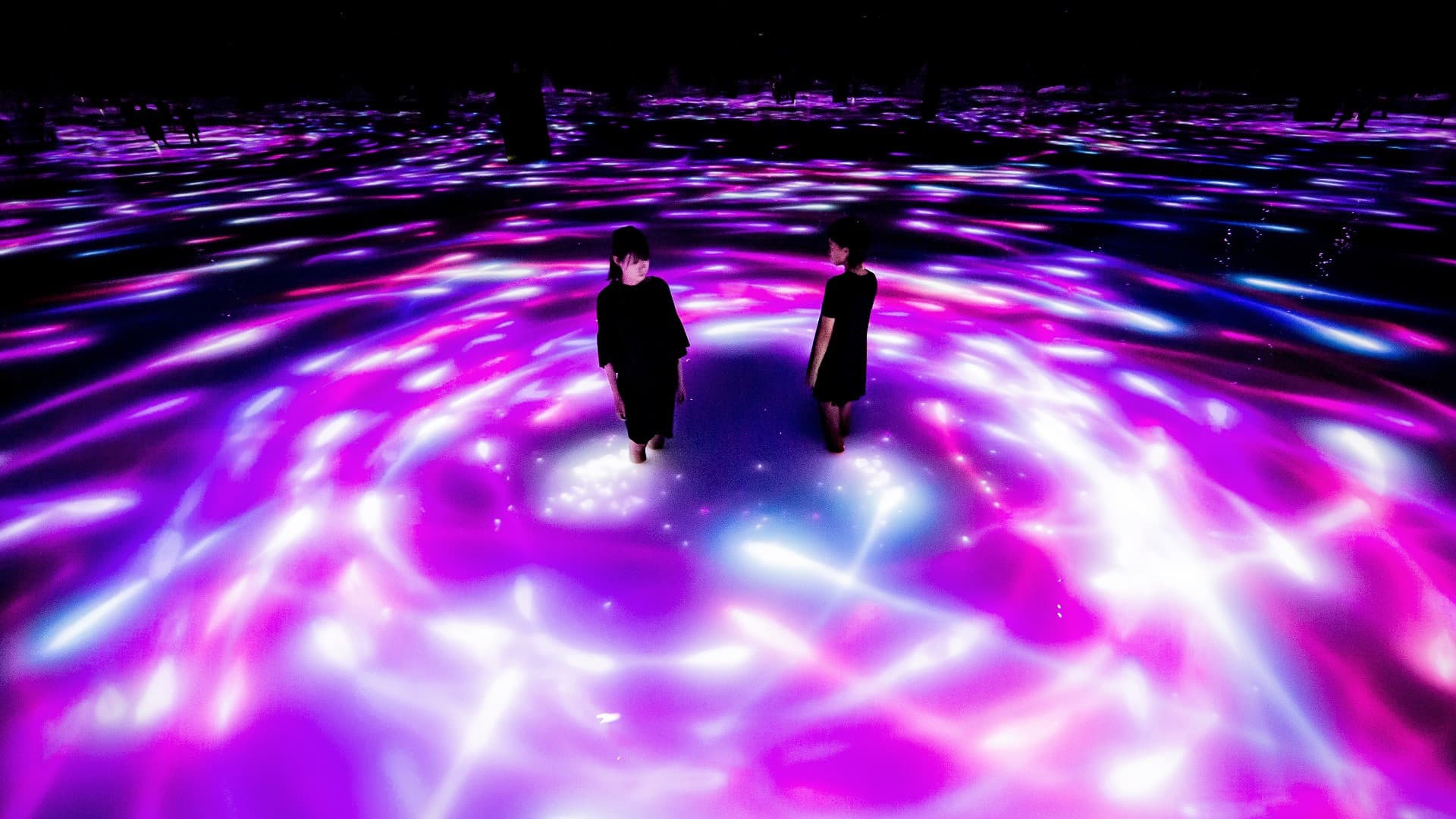 Entrada para teamLab Planets TOKYO - imagen 2