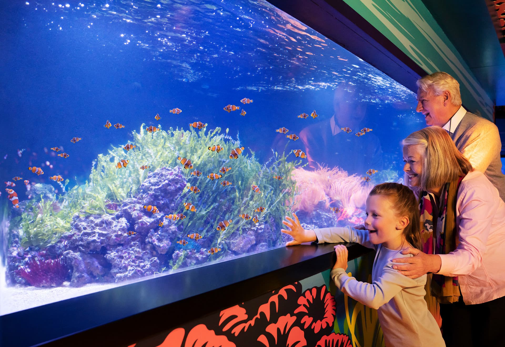 COMBO: SEA LIFE London Aquarium Ticket + London Hop-on Hop-off Bus Tour - image 4