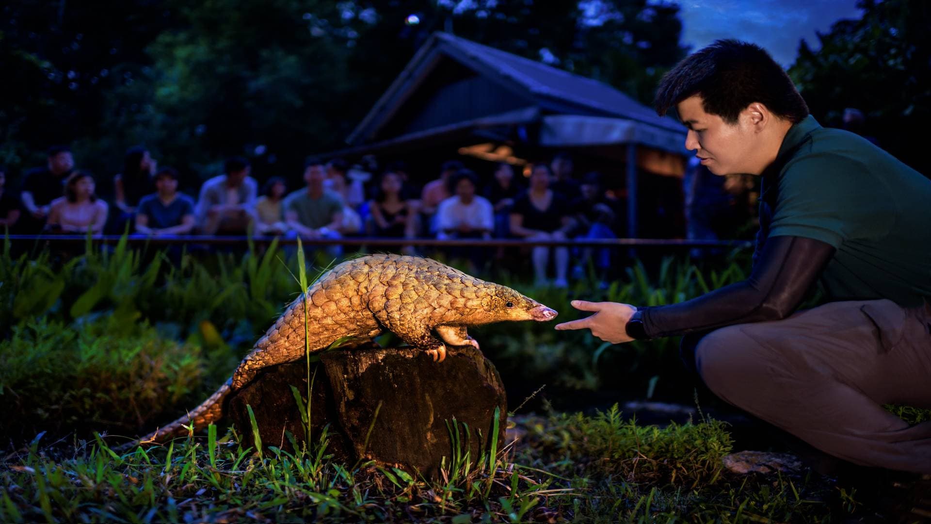 Singapore Night Safari Ticket - image 10