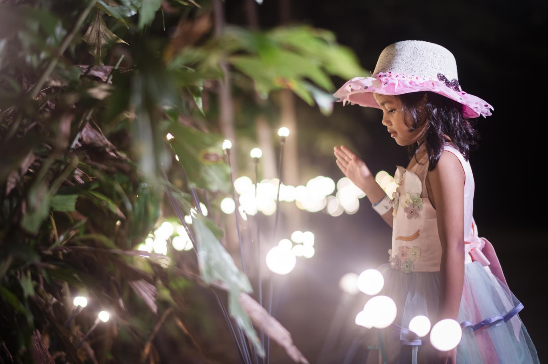 Dream Forest Langkawi - image 7