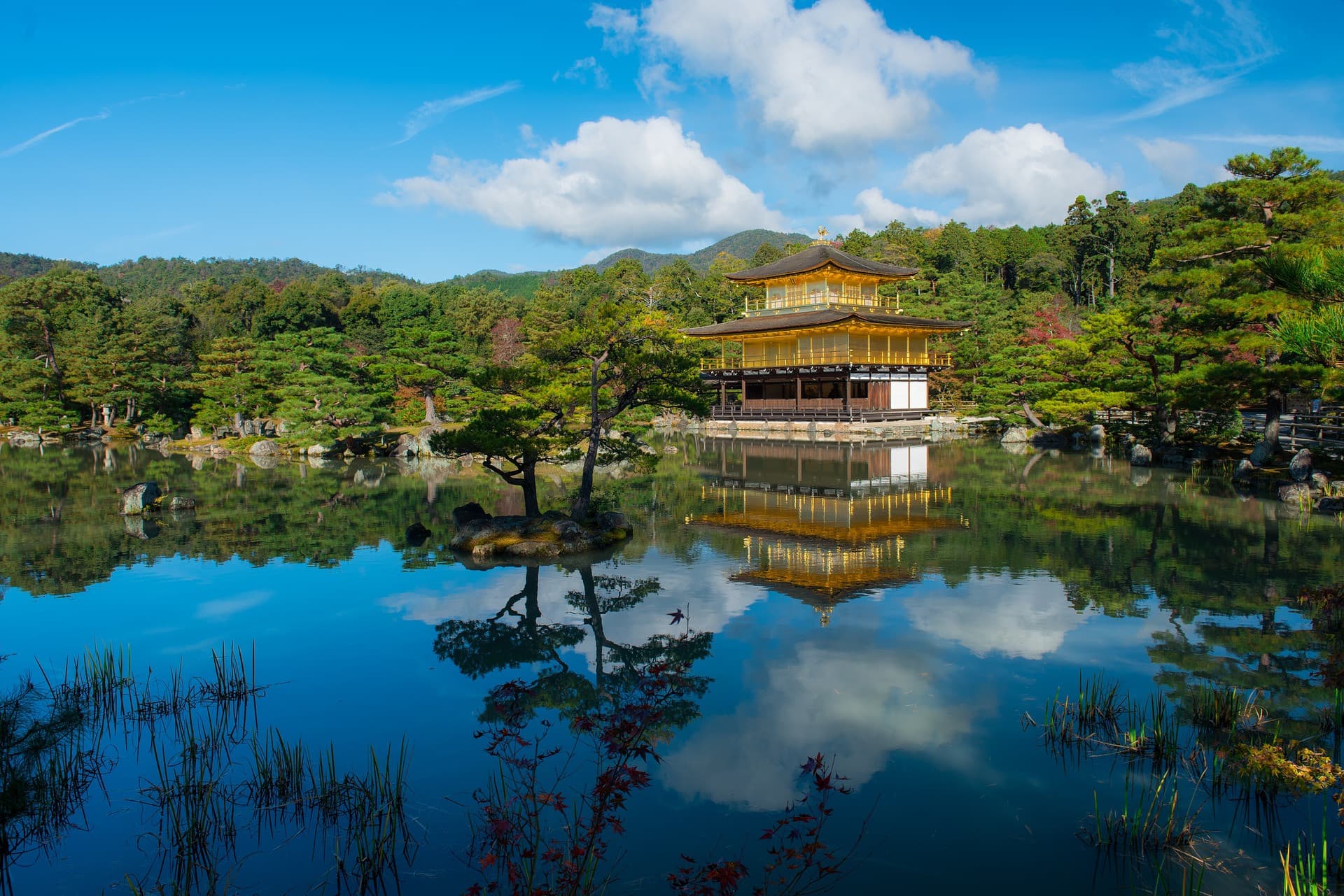 Kyoto and Nara Full-Day Tour from Kyoto - imagen 3