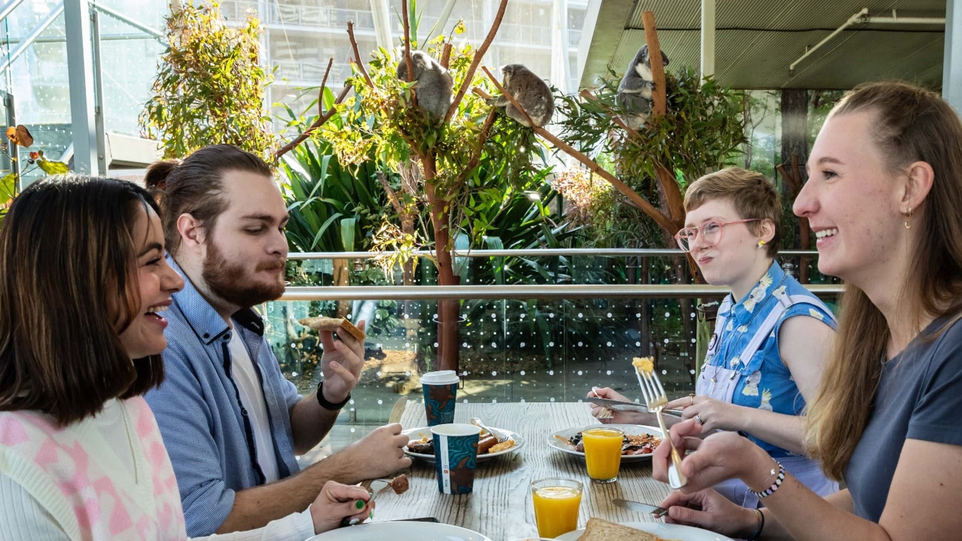 Breakfast with the Koalas at WILD LIFE SYDNEY - main image
