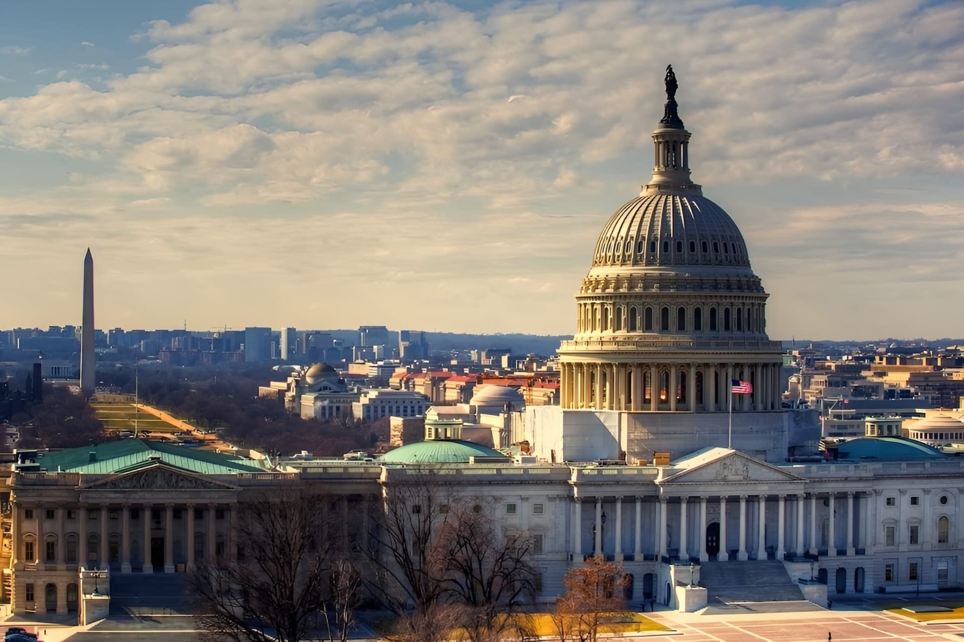 Entrada al Monumento a Washington + tour guiado opcional - imagen 4