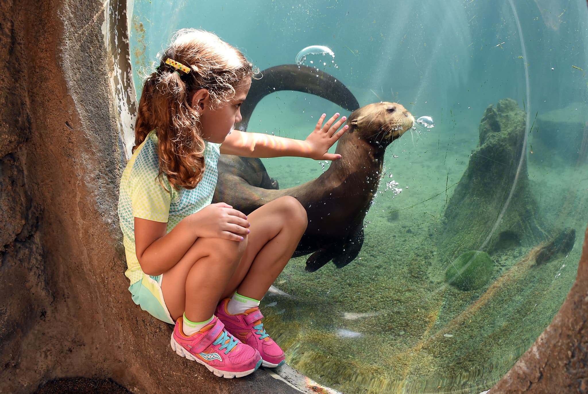 Go City Miami All-Inclusive Pass: Save up to 50% on Attractions - image 19
