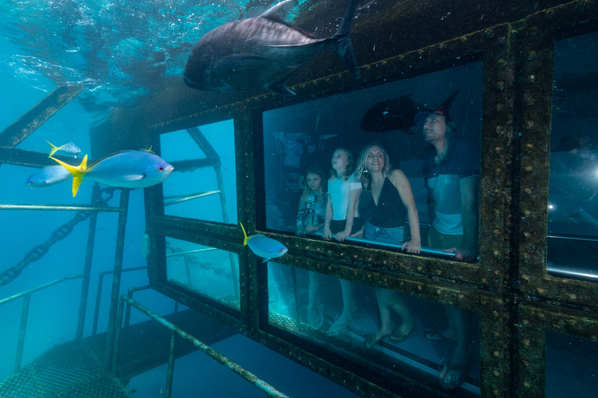 Tour Reef Magic Pontoon desde Cairns - imagen 4